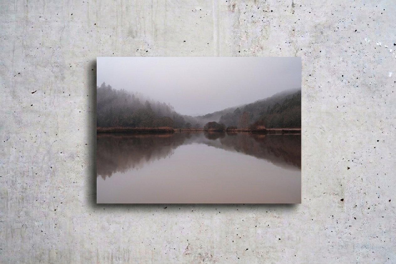 Misty Vilaine