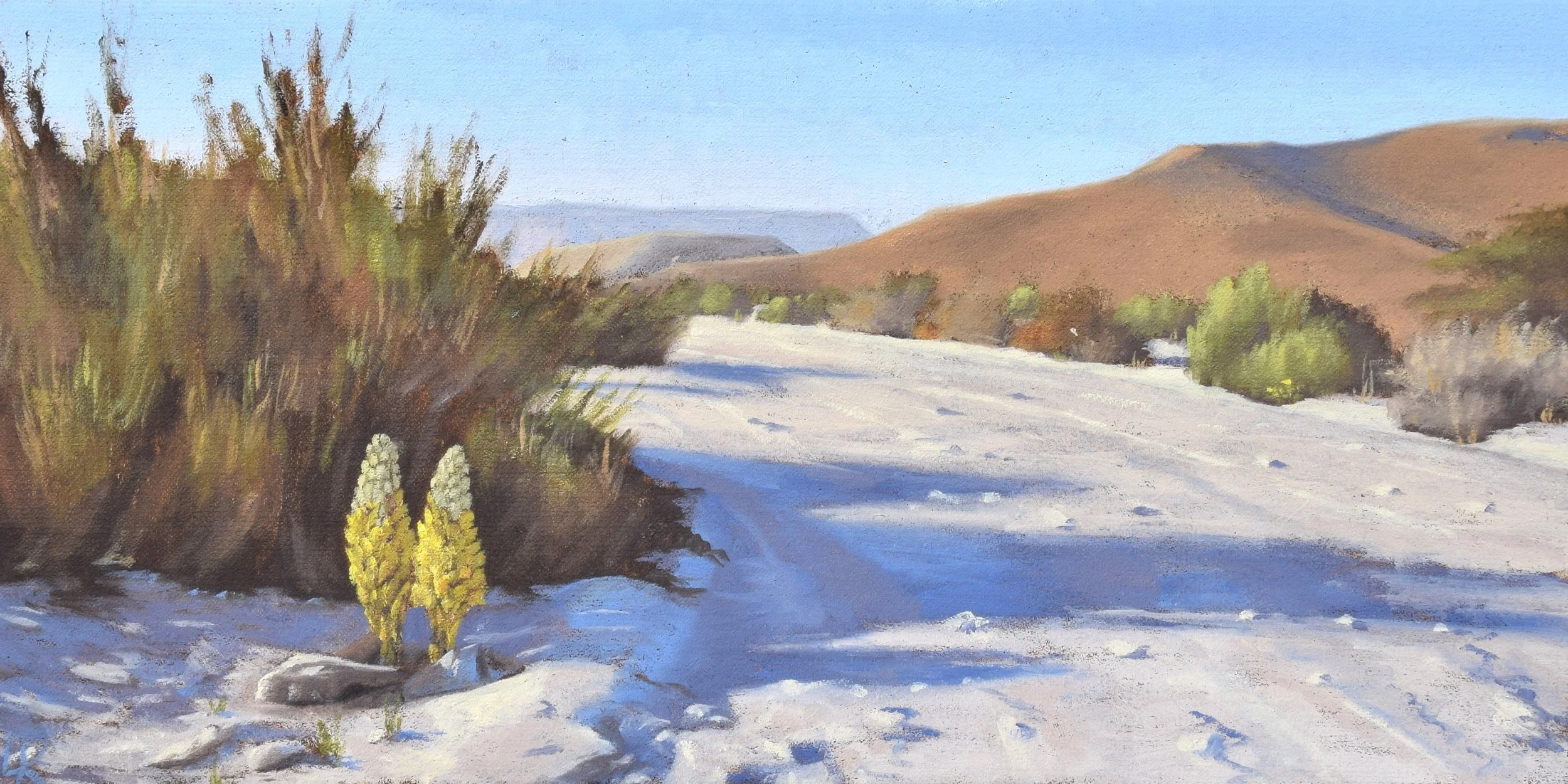 Two Yahnukim and blue morning shadows. 2024. 30x60 cm, oil on stretched yute. SOLD.