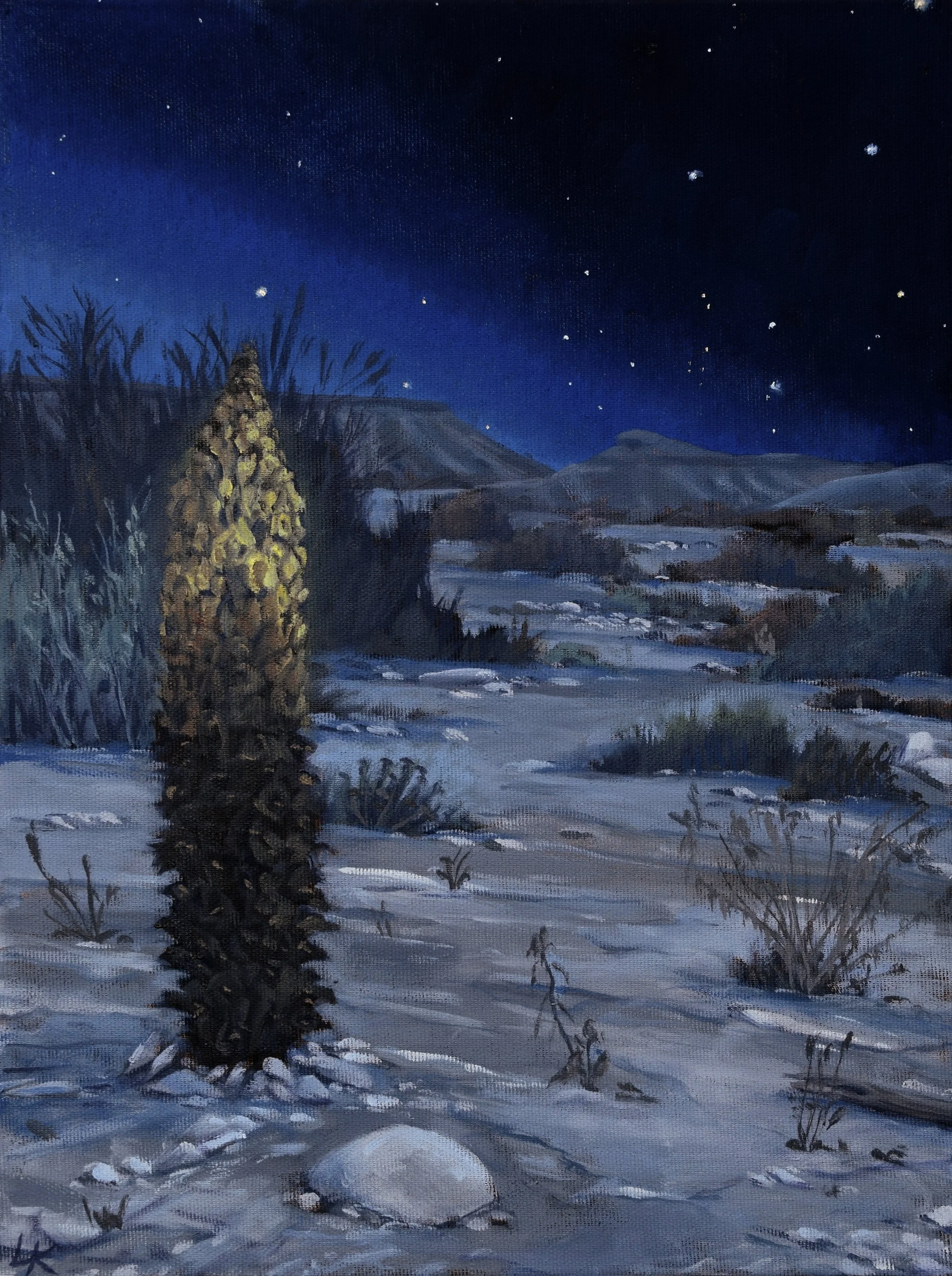 Night Yahnuk / The Night when Everything Changed. 40x30 cm, oil on canvas. 2026. commissioned/sold.