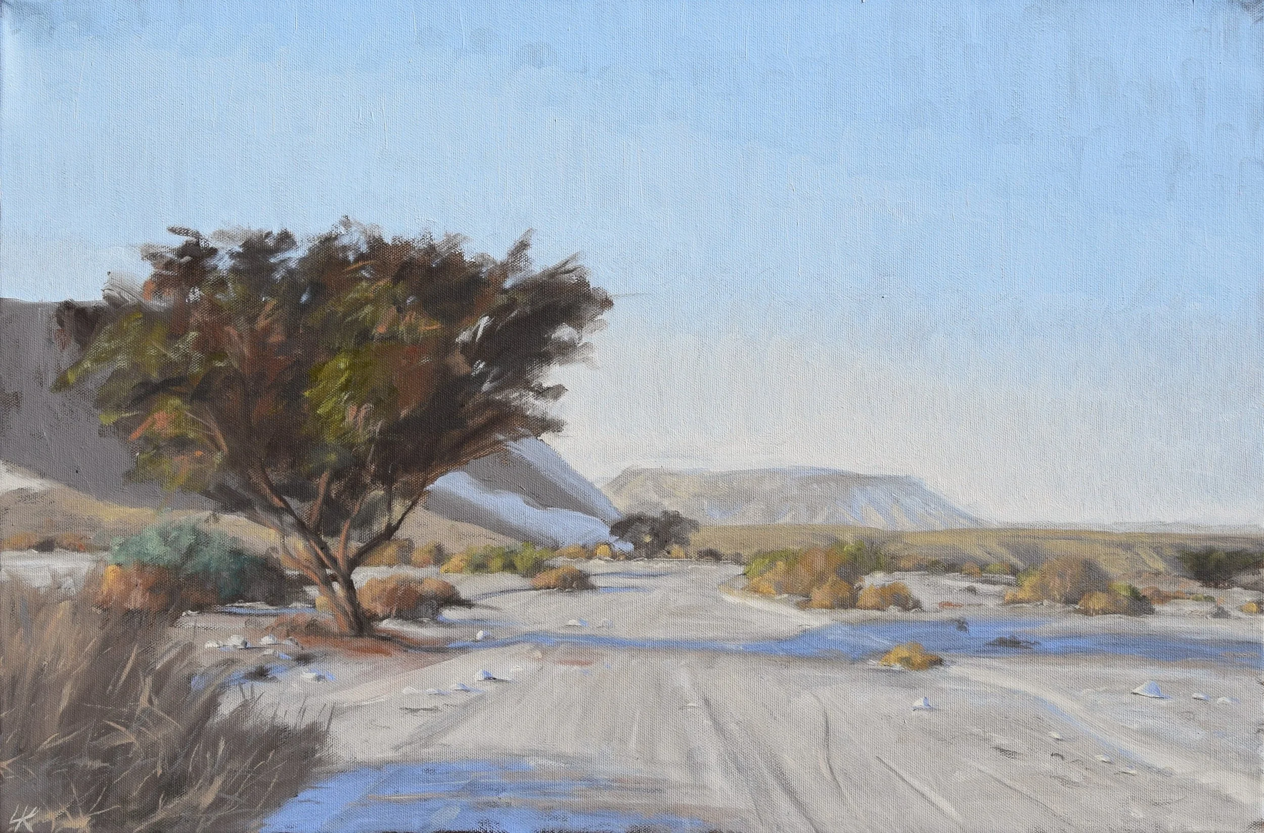 Acacia tree and path in the morning. 40x60 cm, oil on canvas. 2026.