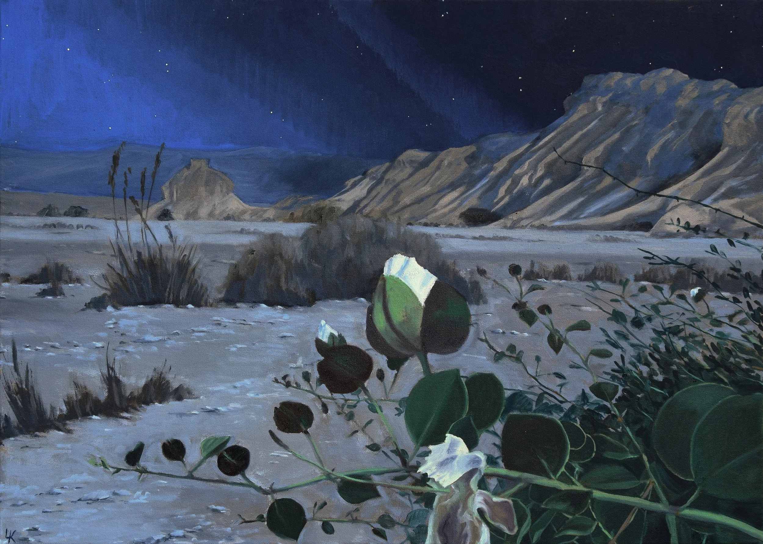 Night flowers. 50x70 cm, oil on canvas. 2026. SOLD.