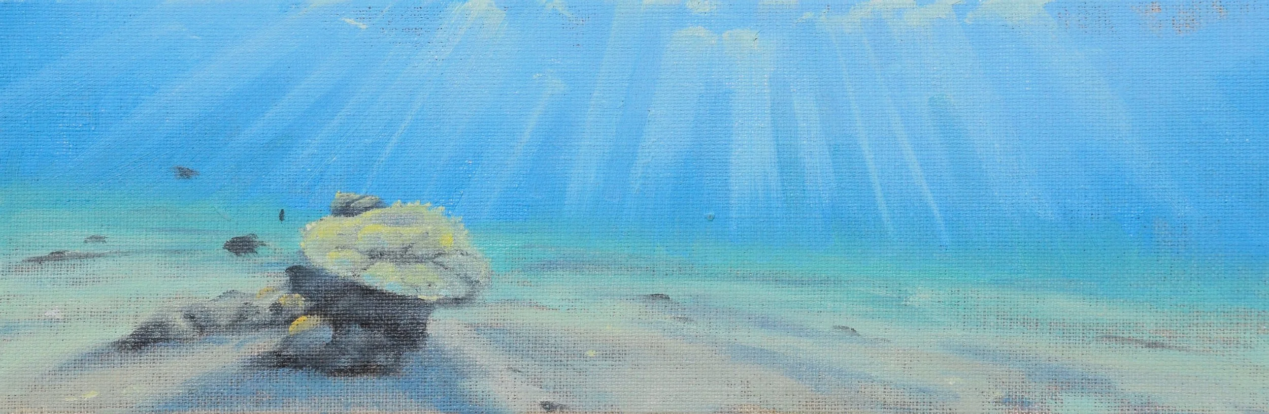 Underwater Signpost. Study. 2024. 10x30 cm, oil on linen panel.