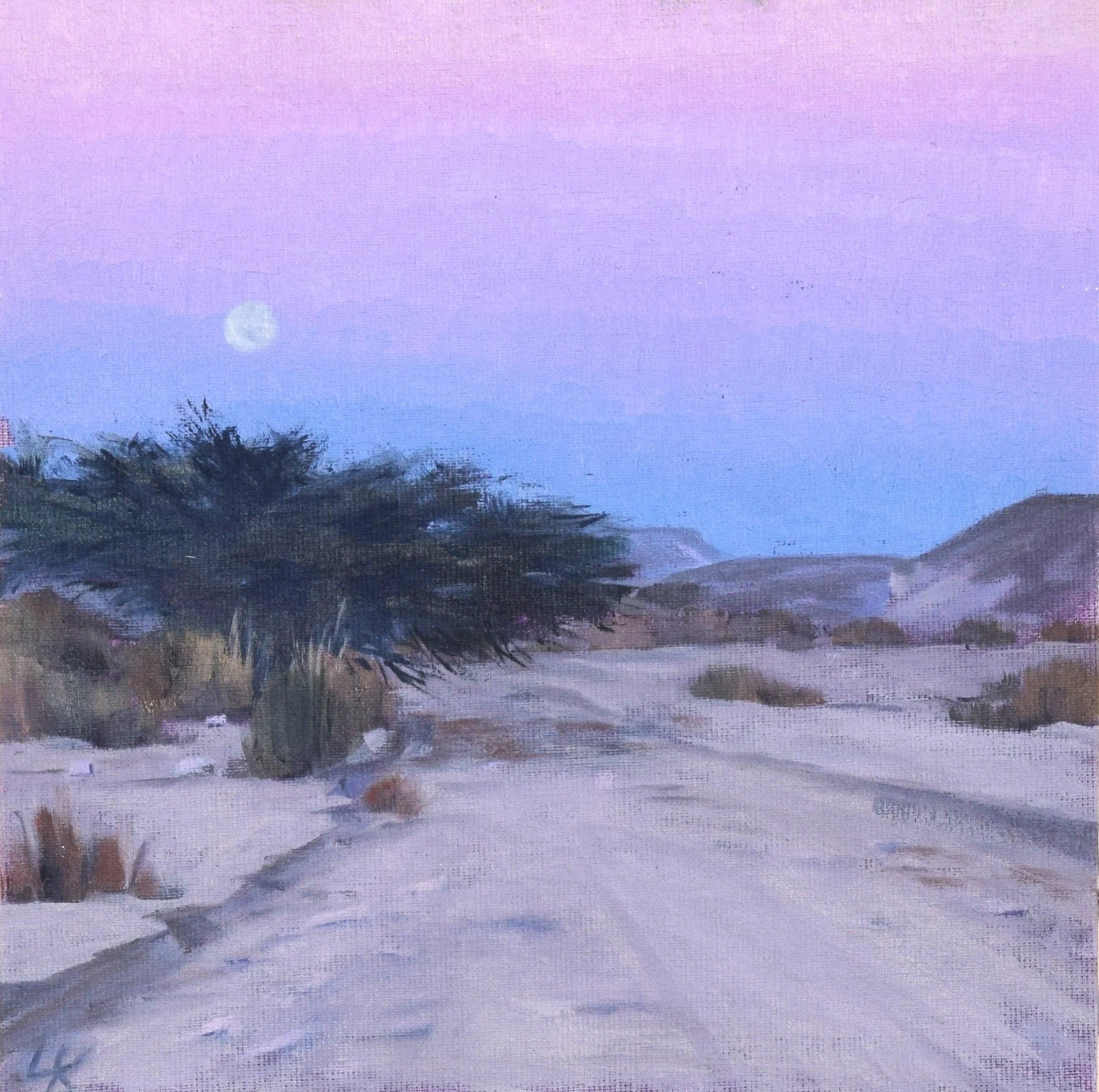 Acacia tree with pink sky study i. 2025. 20x20 cm, oil on panel.