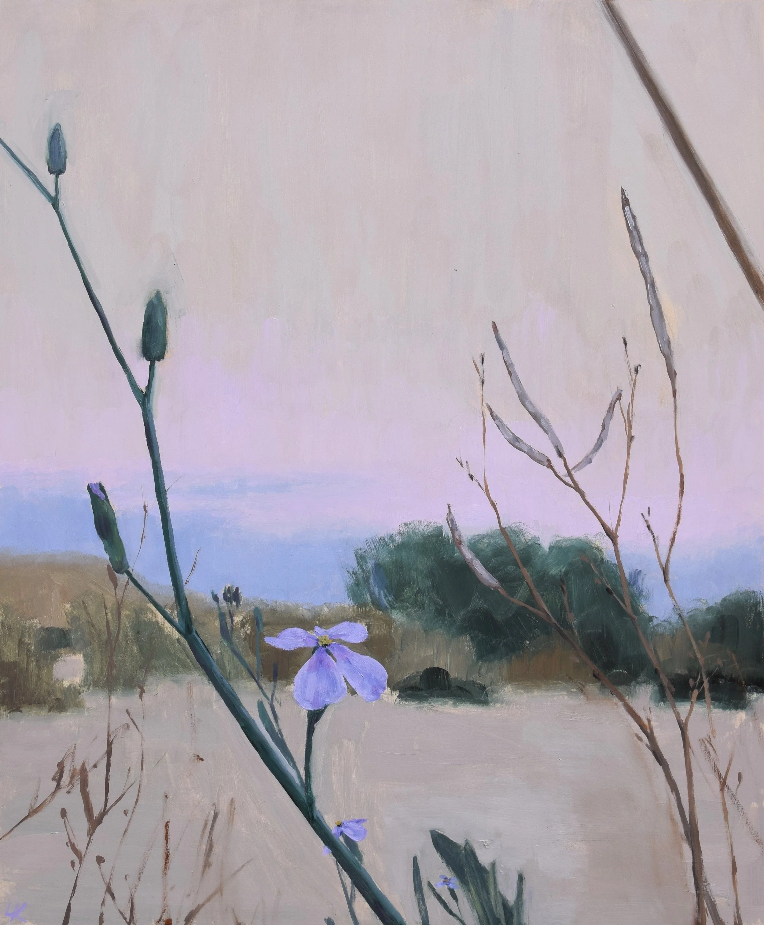 "Morika mavrika at dawn i", 2025. 50x60 cm, oil on panel.