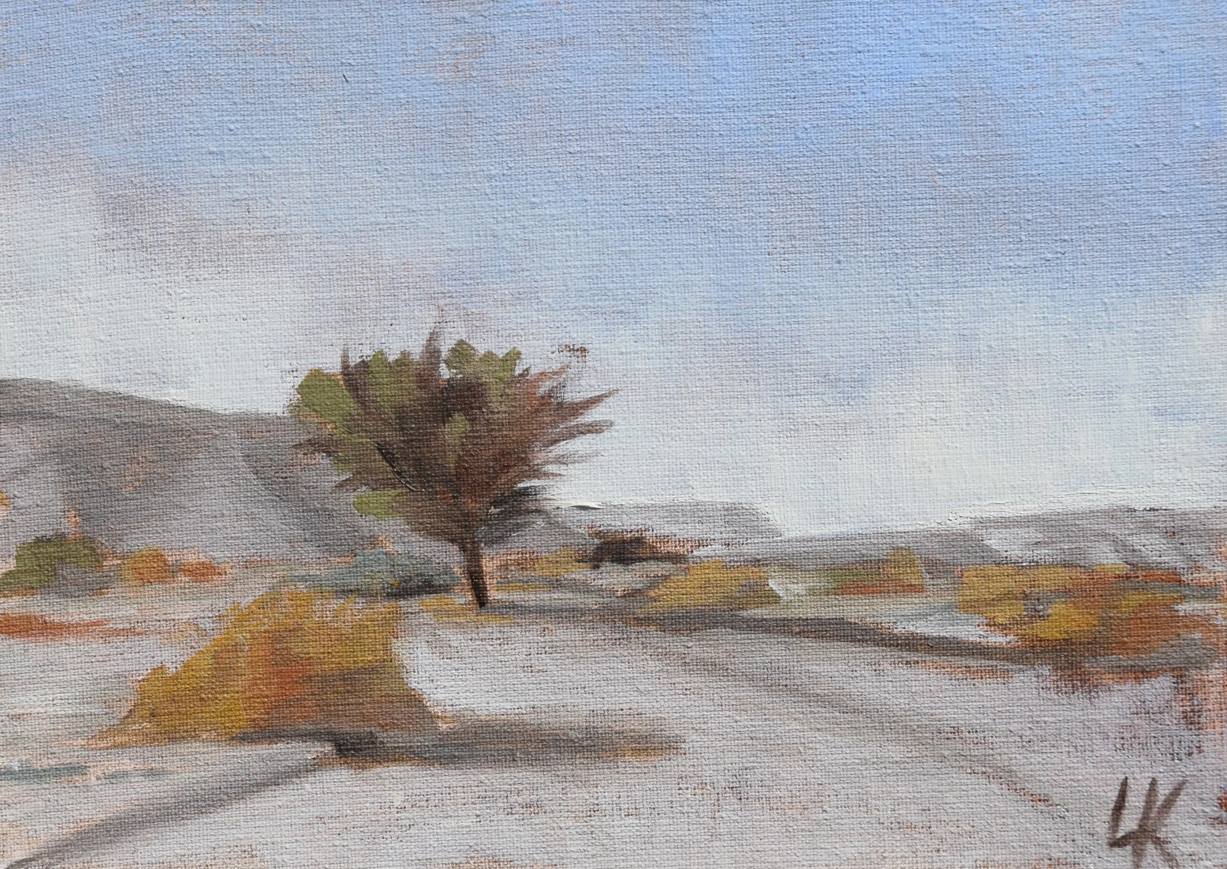 Nahal Tzofar. 2023. 13*18 cm. Oil on canvas.