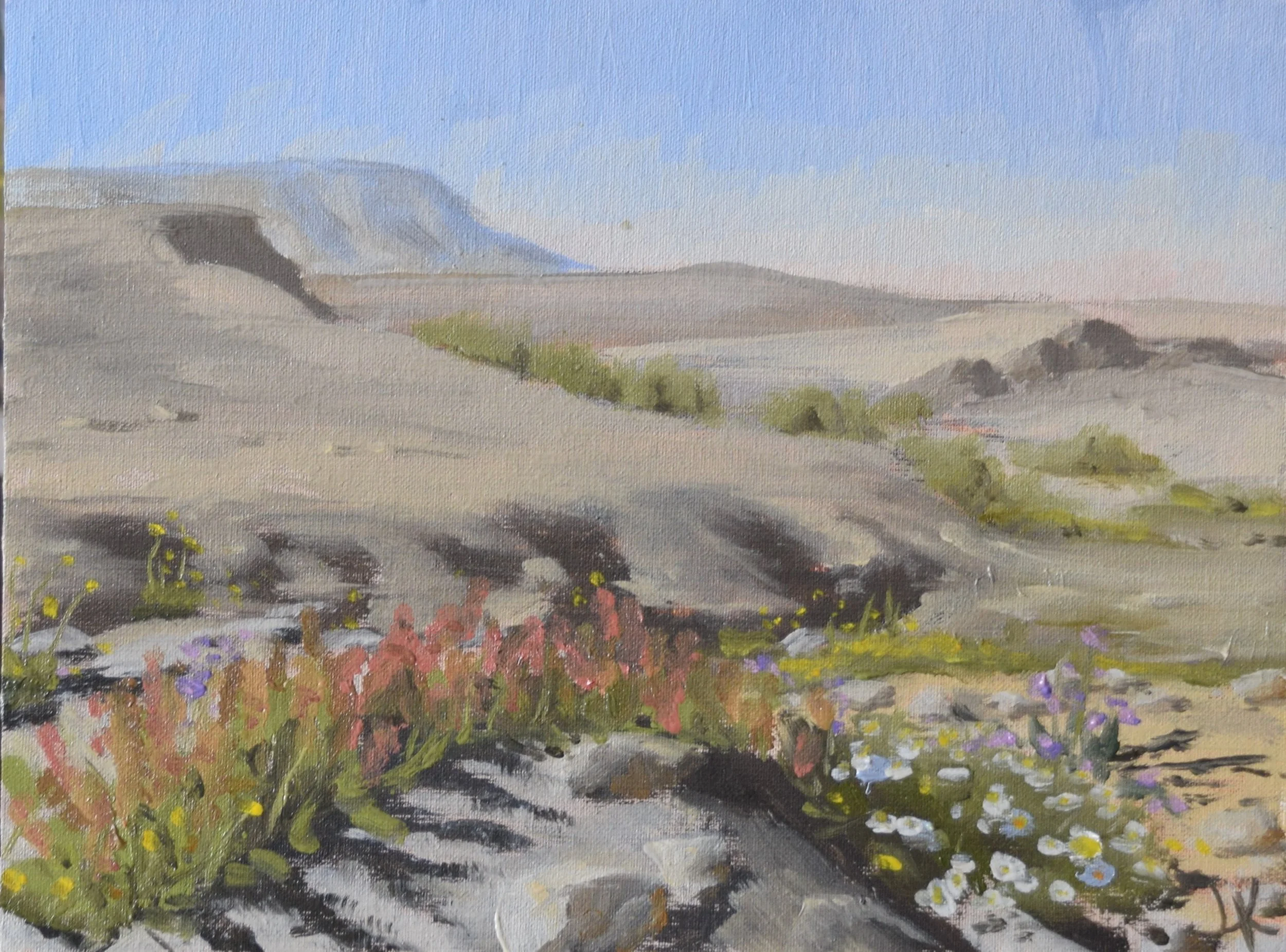 "Colorful flowers at Ein Tsin Oasis," 2023. 18x24 cm.