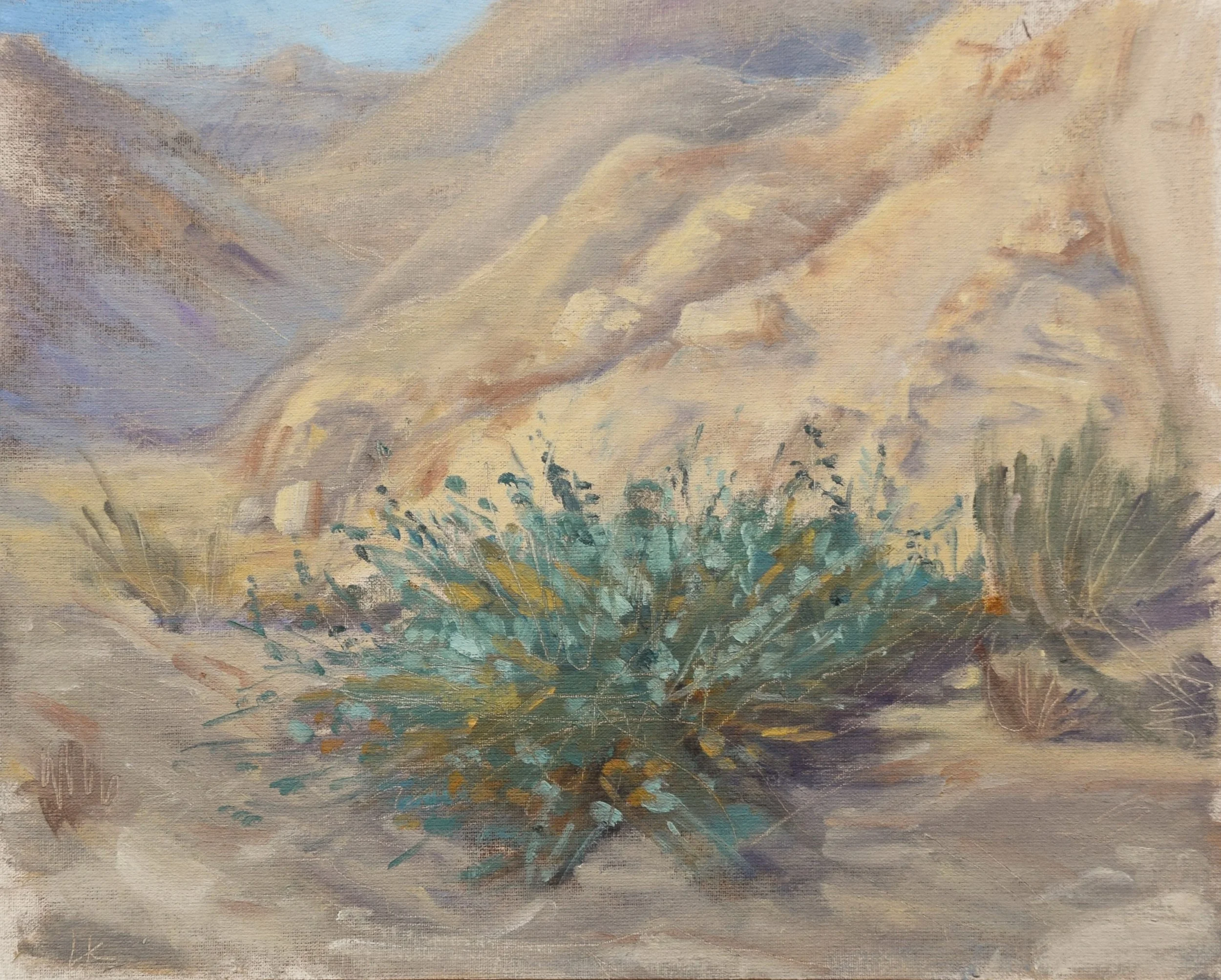 Sunlight on the caper, 2025. 24x30 cm, oil on canvas panel. Painted en plein air.