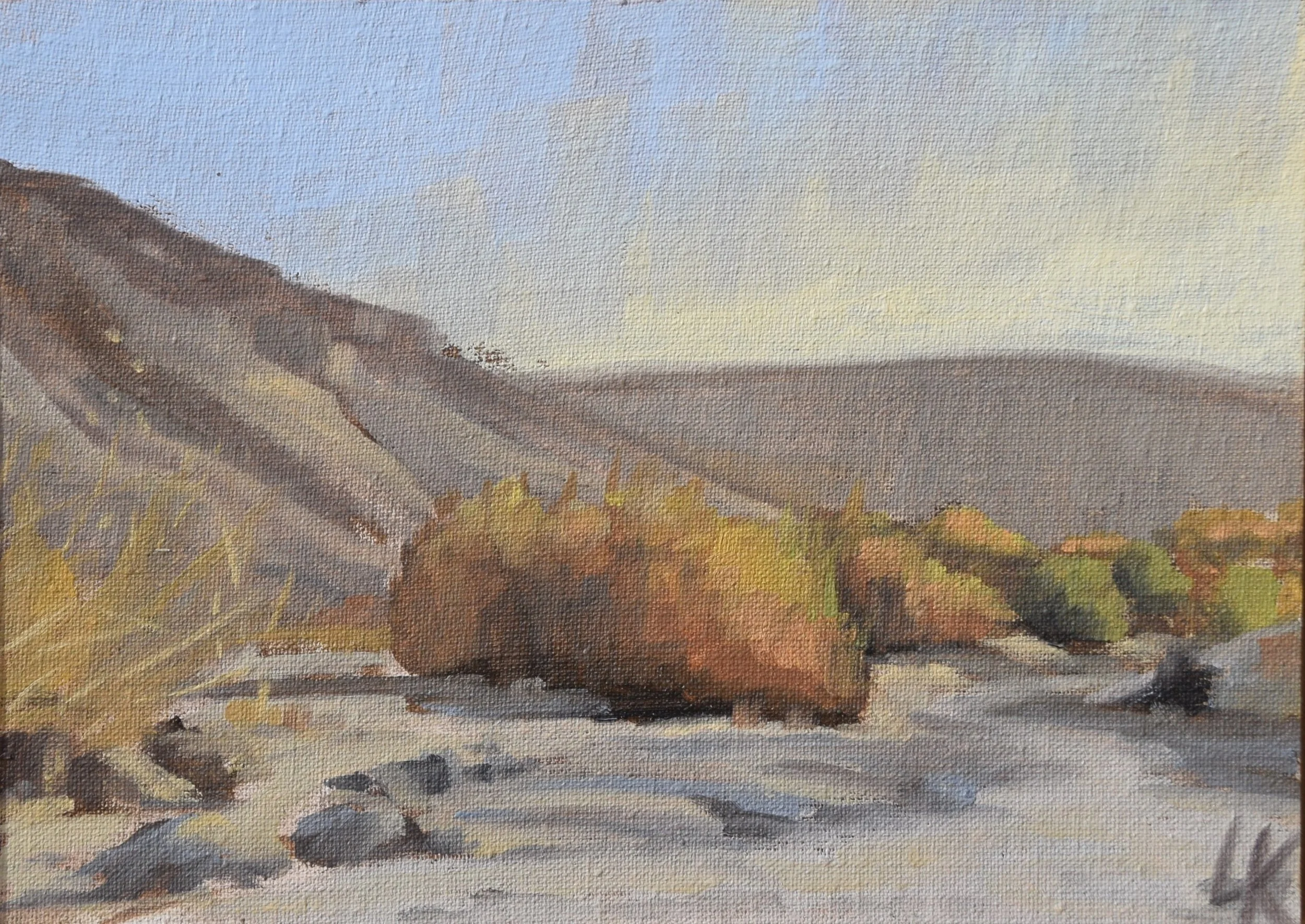 Bush with sunlight. 2023. 13*18 cm. Oil on canvas. 