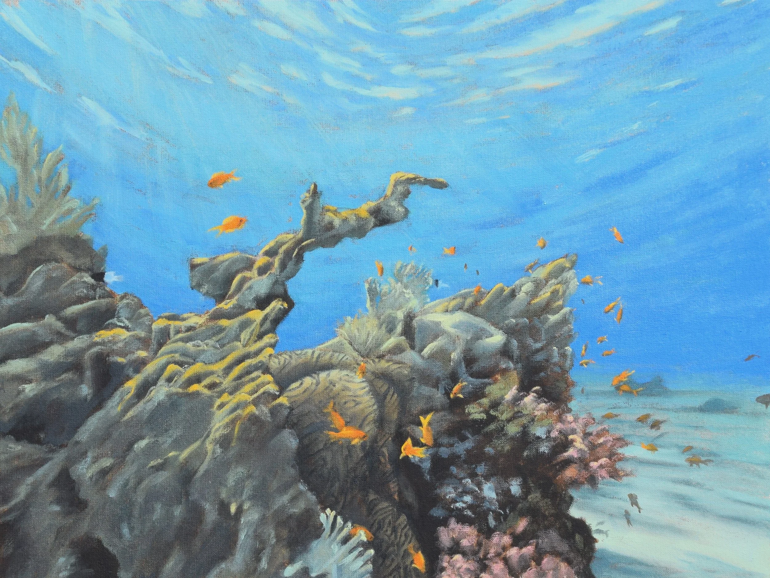 Eilat Coral Reef, Snuba Beach. 2024. 30x40 cm, oil on canvas panel. SOLD.