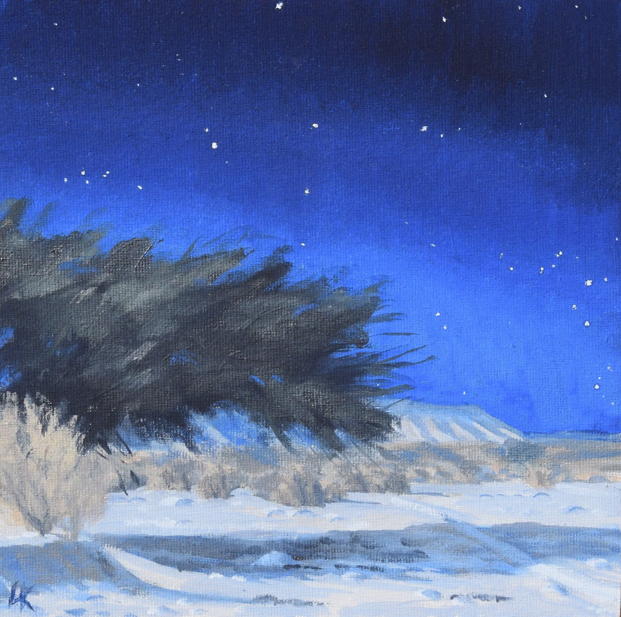 "Starry summer night in the Wadi. Study II". 20x20 cm, oil on canvas panel. 2026.