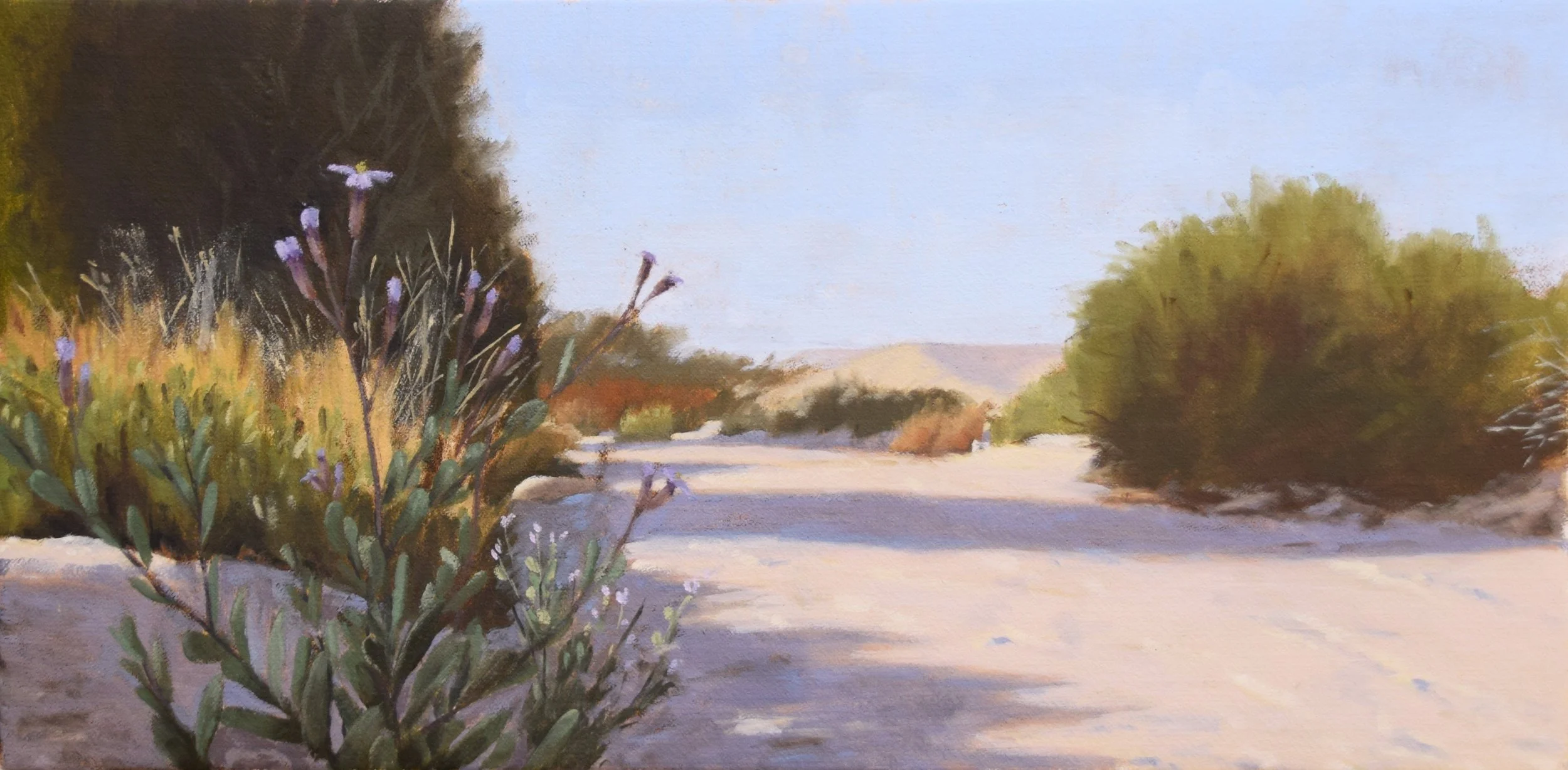 Purple path in the Wadi in the morning. 2024. 30x60 cm, oil on yute. SOLD