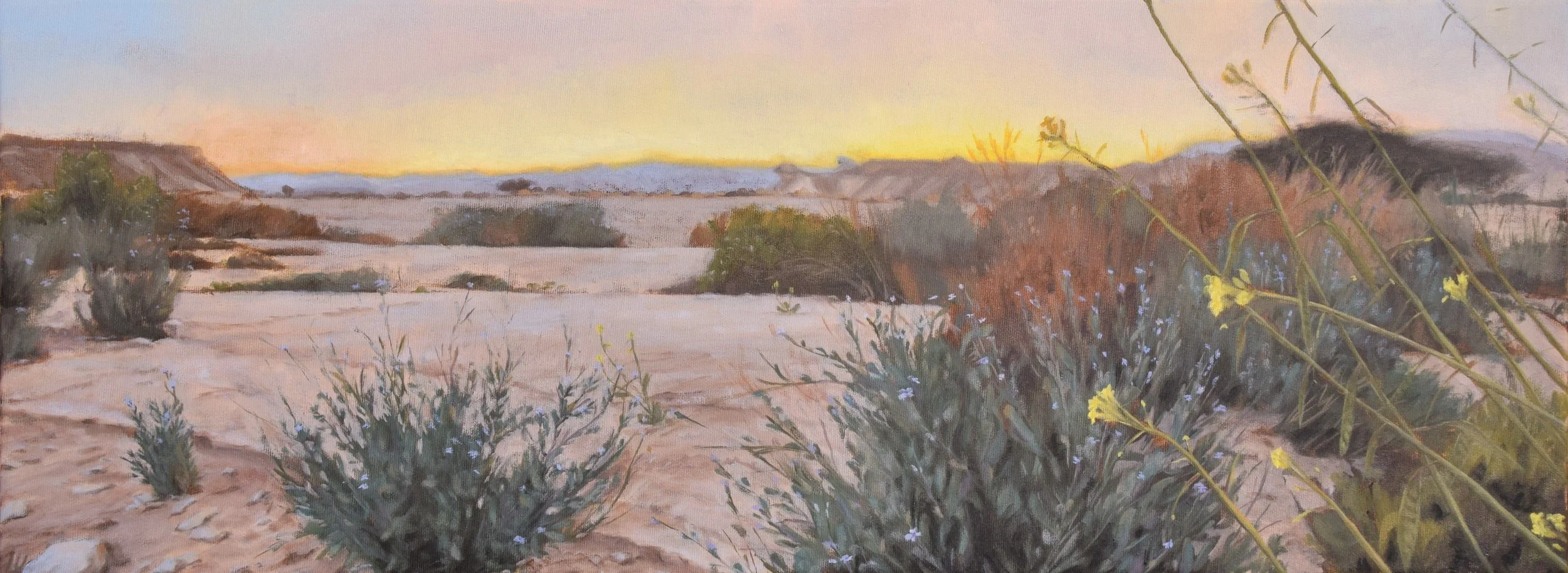 Sunset in the Wadi with flowers/Hour of the fairies. 2024. 30x80 cm, oil on canvas. SOLD