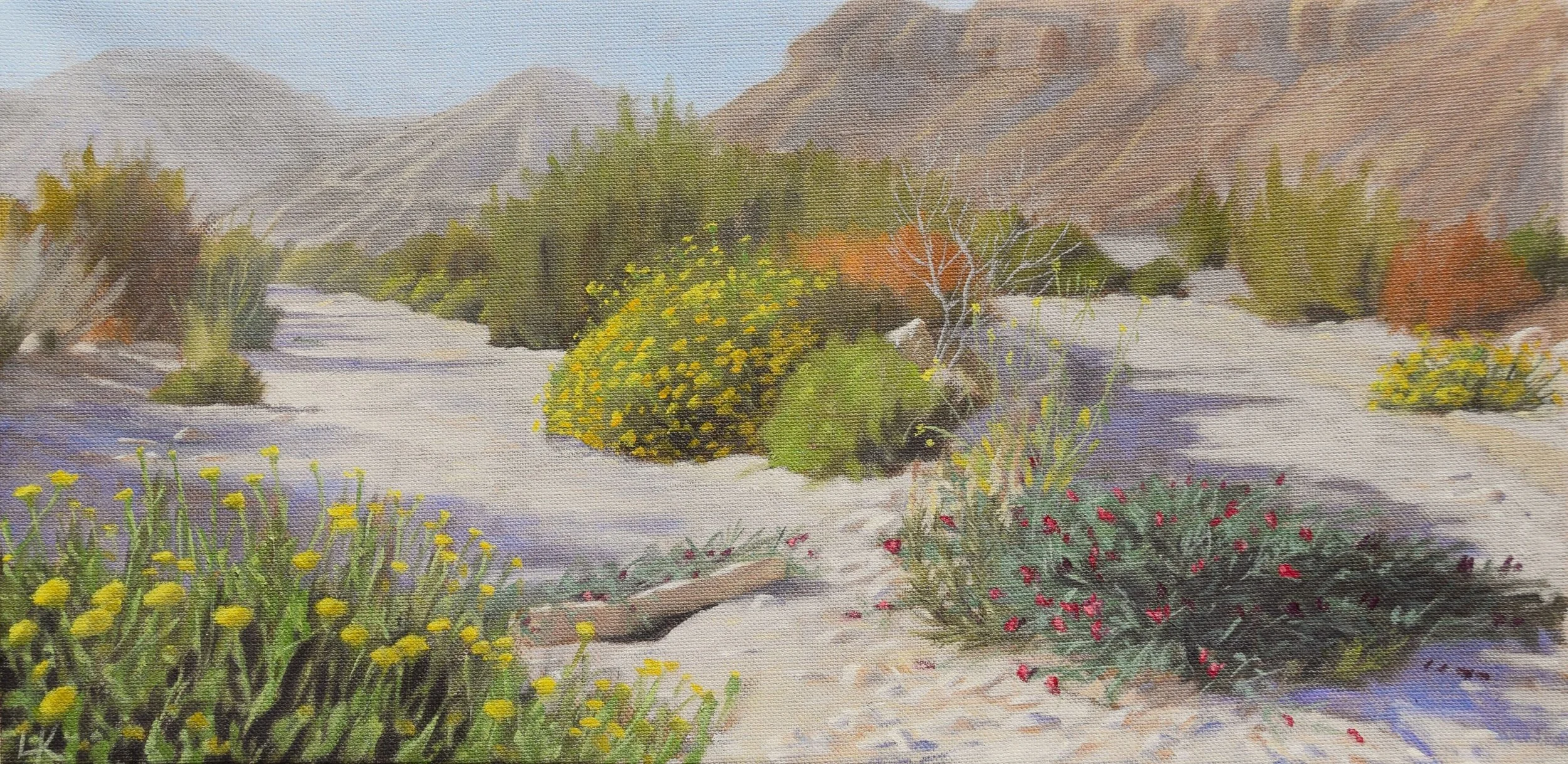 Two paths in the Wadi with Lotus and Paroshit flowers. 2024. 30x60 cm, oil on canvas. SOLD