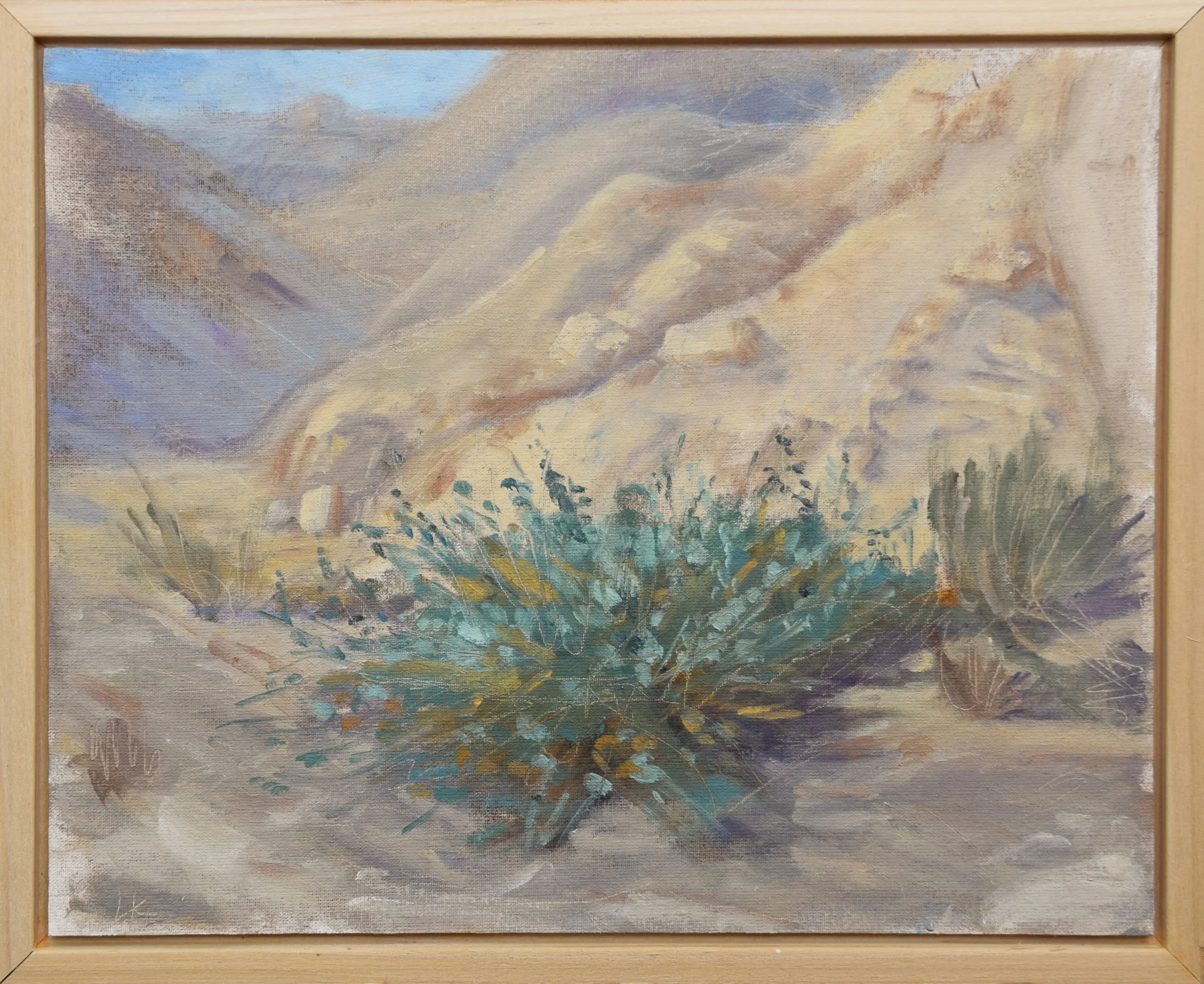 "Sunlight on the Caper", 24x30, oil on canvas panel