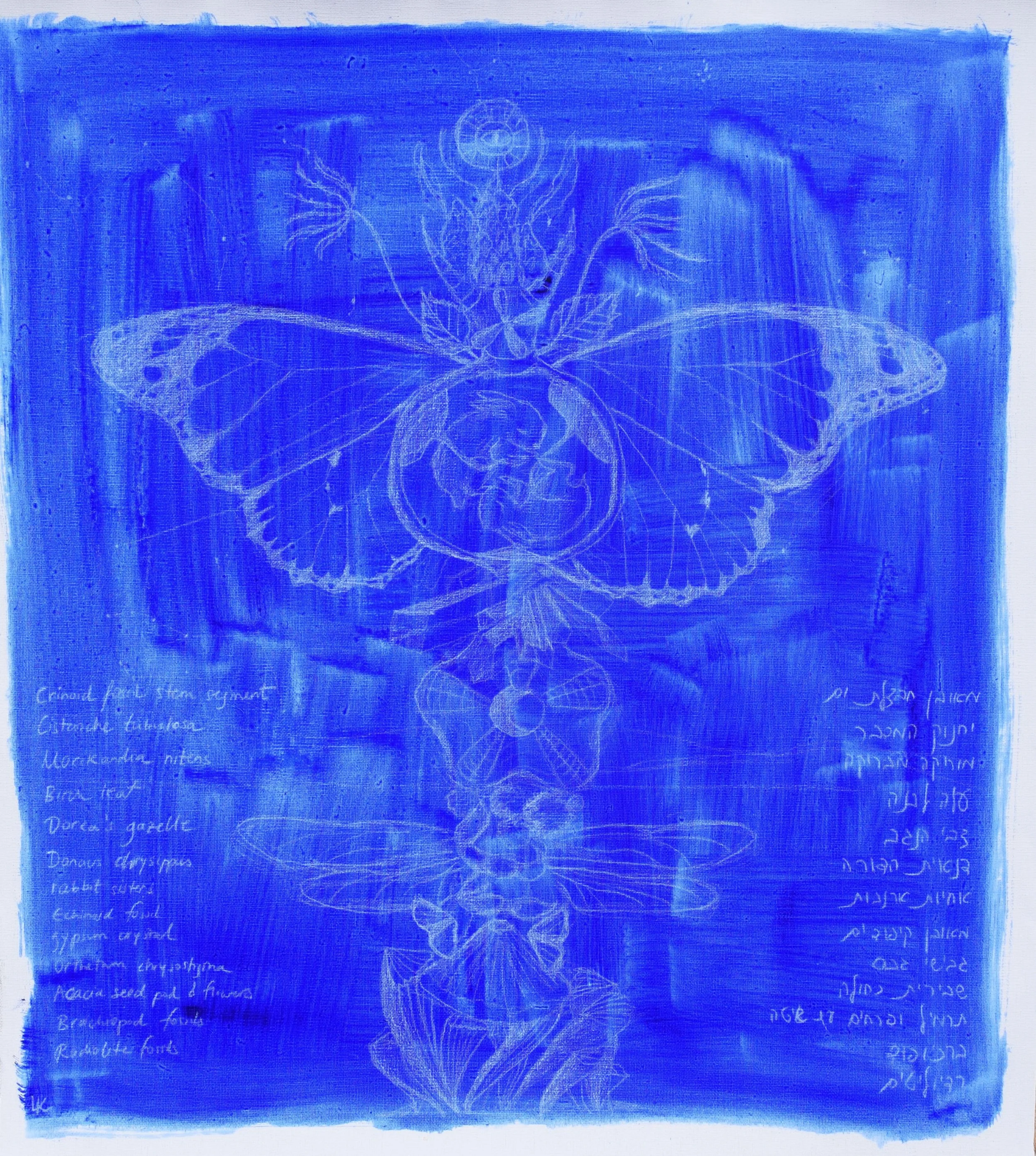 Memory Column II / Memories of the Desert and of Me. Oil and oil pencil on unstretched canvas. 61x66 cm. 2026.