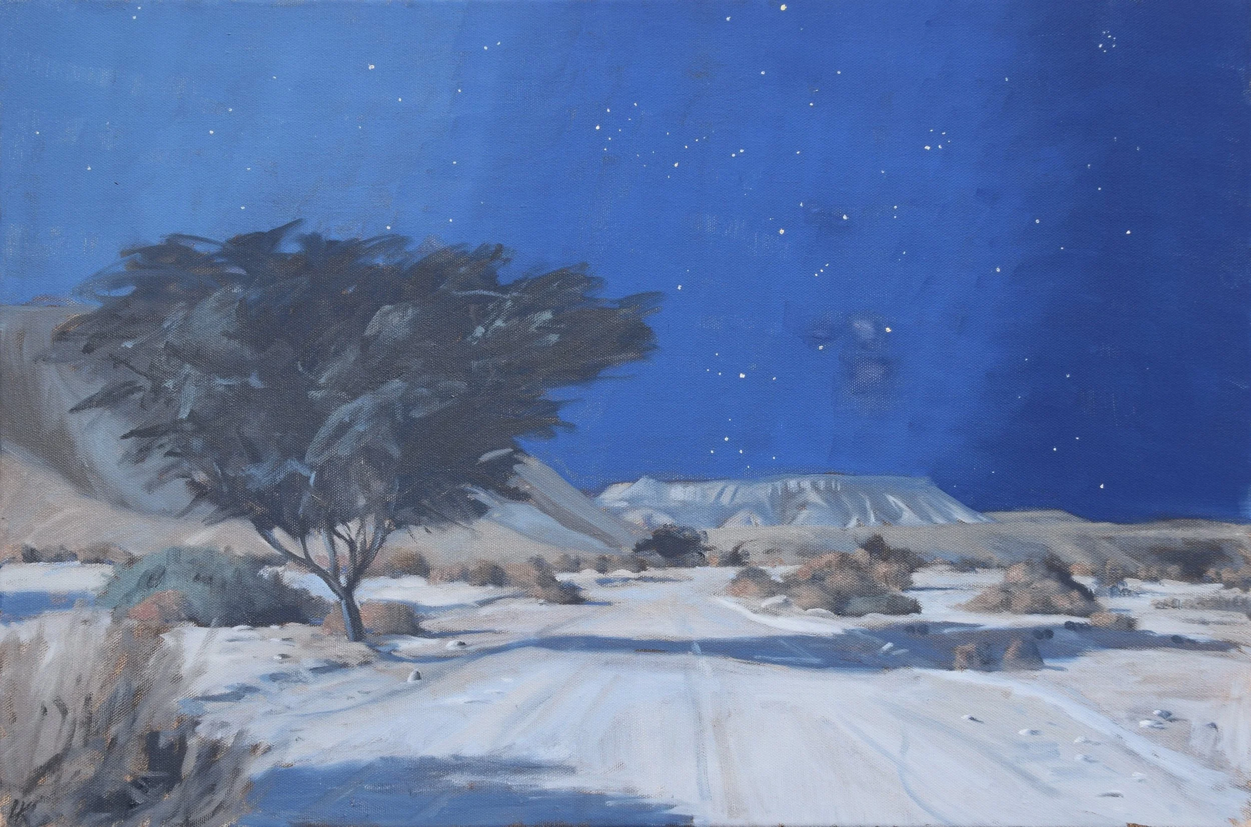 Acacia tree and path at night. 40x60 cm, oil on canvas. 2026.