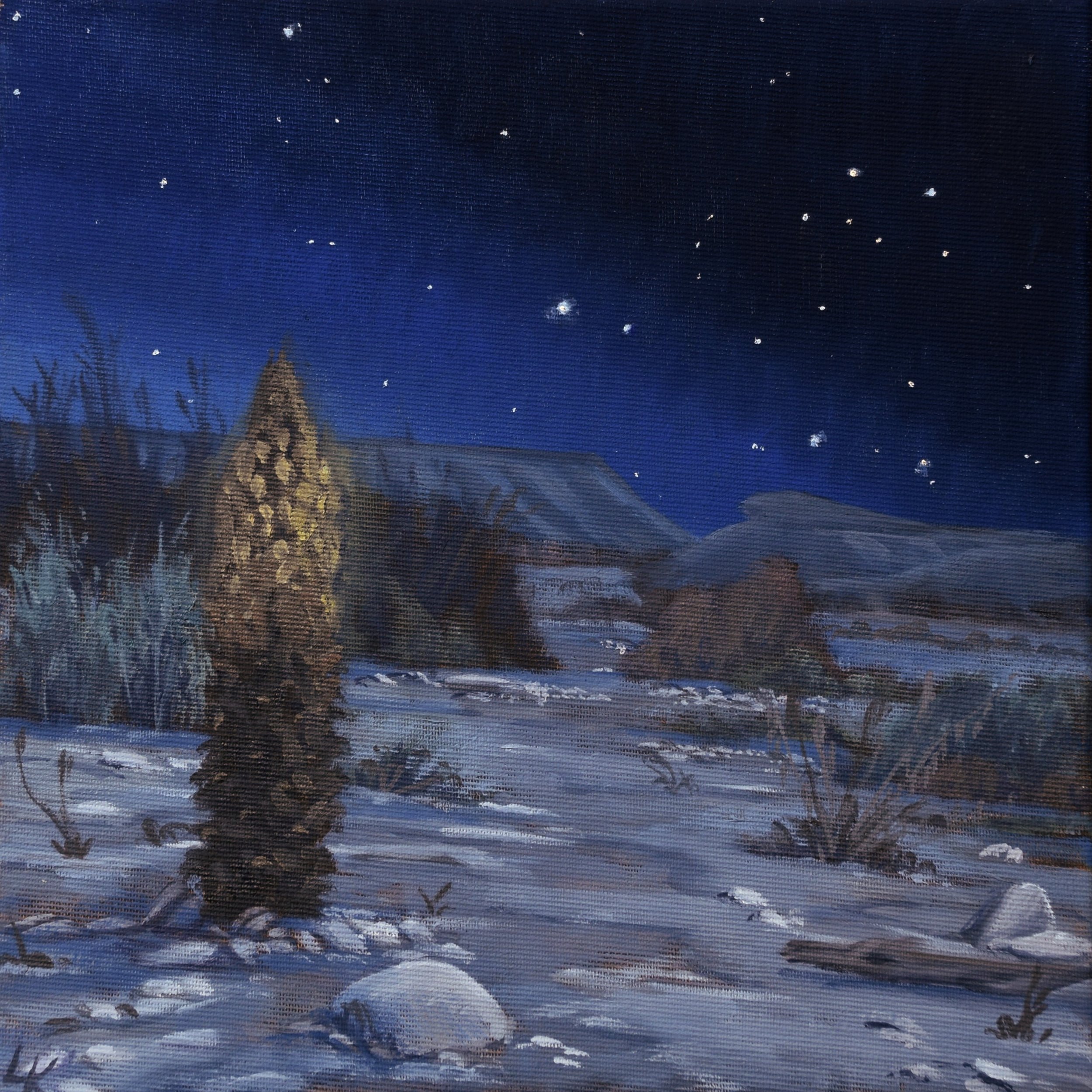 Little Night Yahnuk. 25x25 cm, oil on canvas.