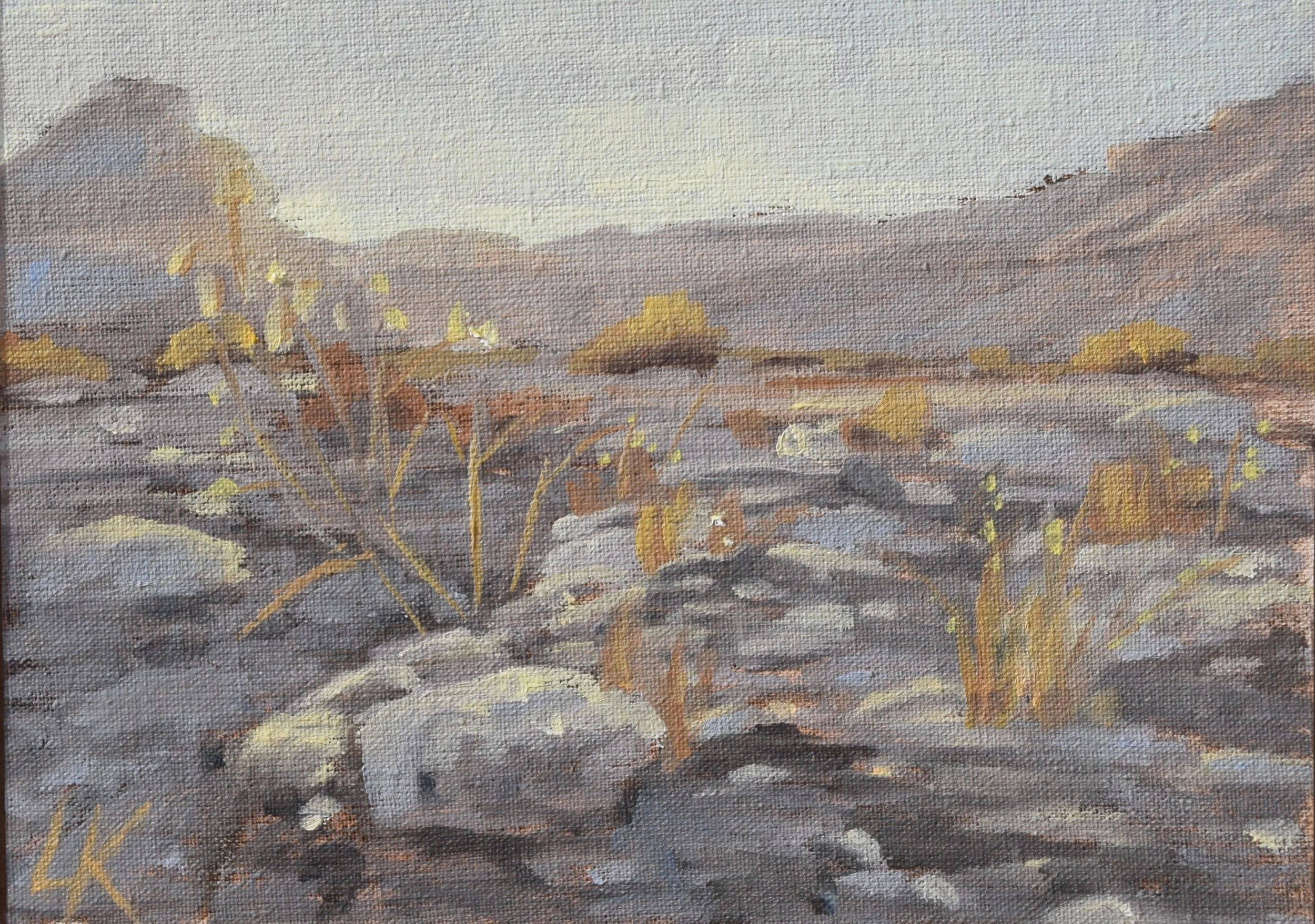 Sunlight in Wadi Ashosh. 2023. 13*18 cm. Oil on canvas. SOLD