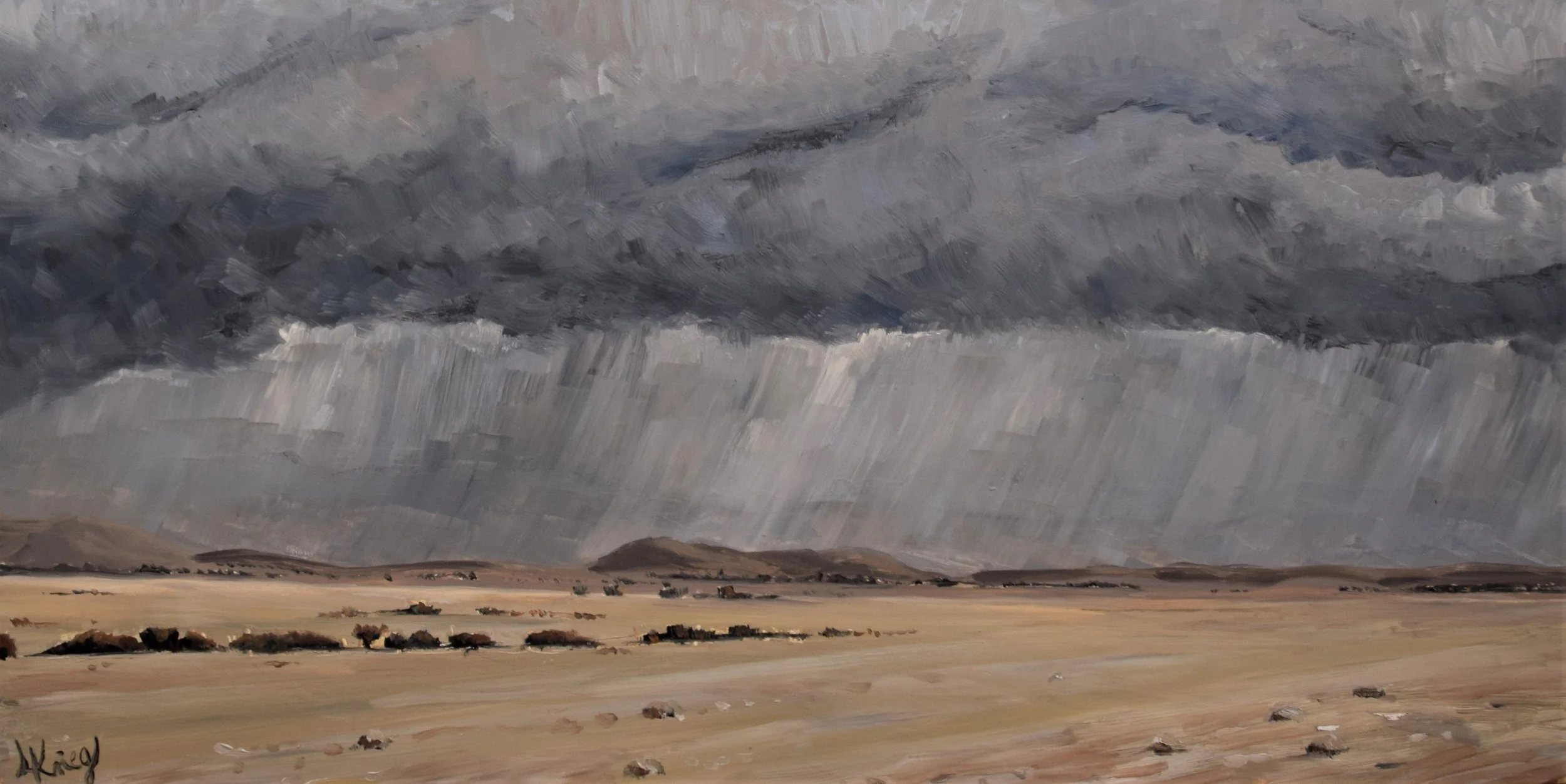 "April Flood, Rain in Ein Yahav," 2023. Oil on gesso panel. 30x60 cm.