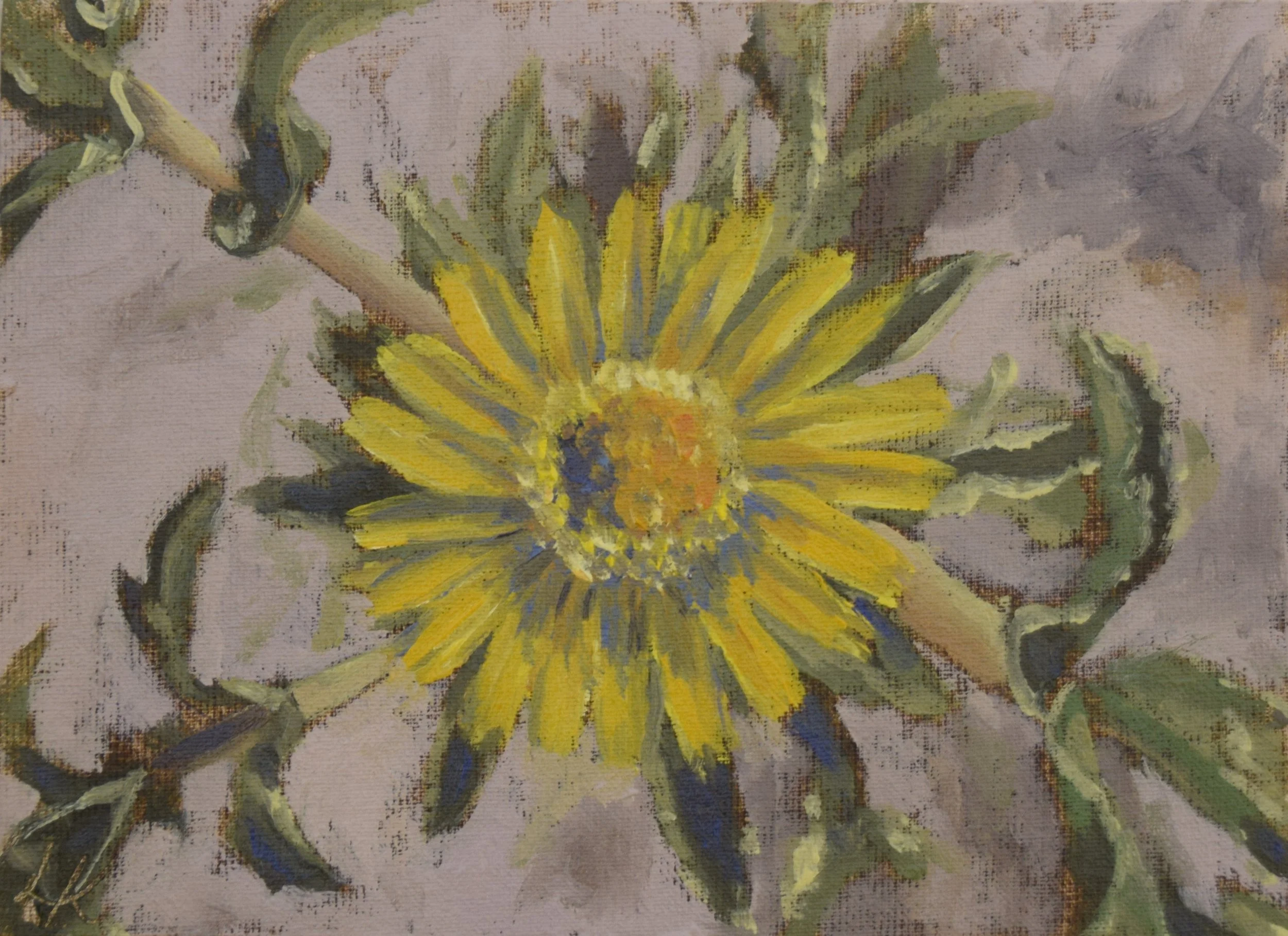 "Asteriscus graveolens I", 2023. 13x18 cm. SOLD.