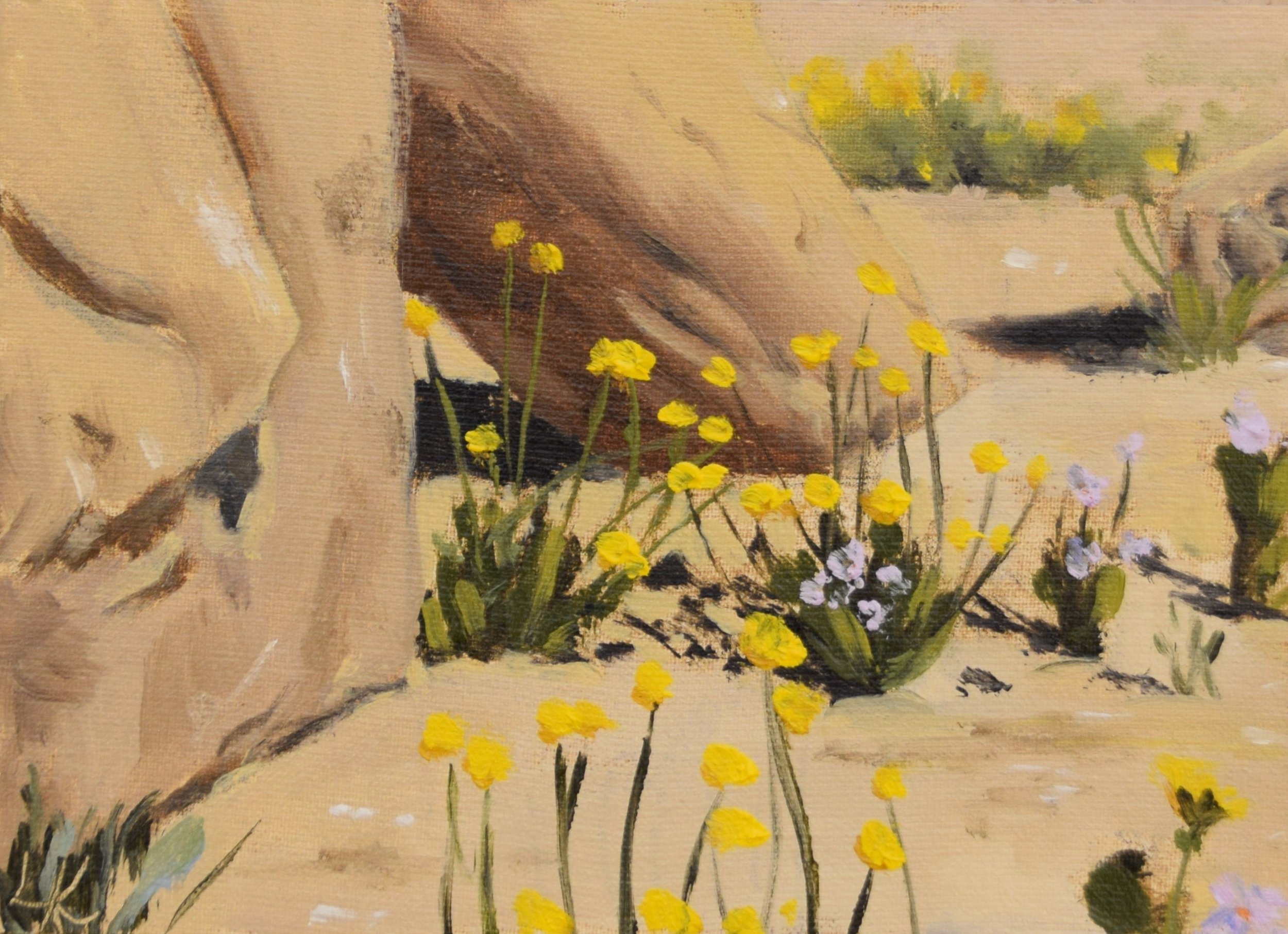"Yellow flowers at Ein Tsin I", 2023. 13x18 cm. SOLD