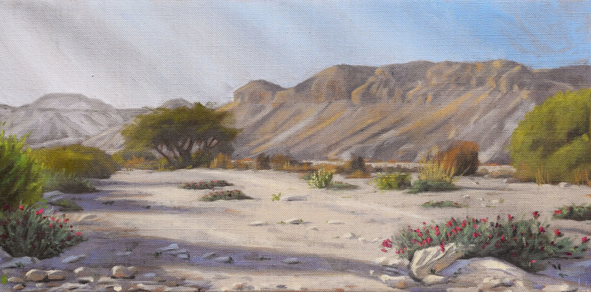 Path in the Wadi with Lotus. 2024. 30x60 cm, oil on canvas.