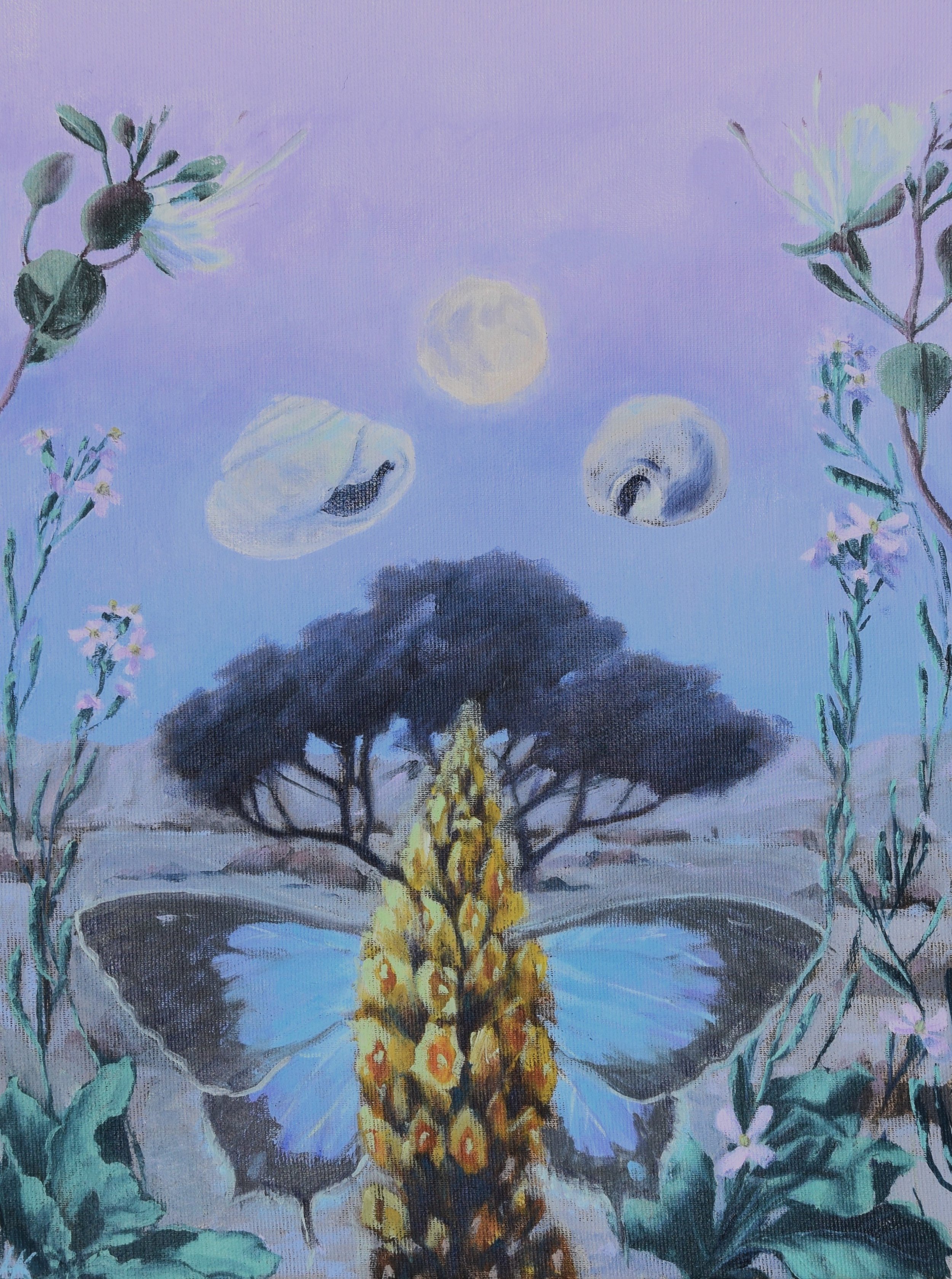 "What the Moon Protects". 30x40 cm, oil on canvas. 2026.