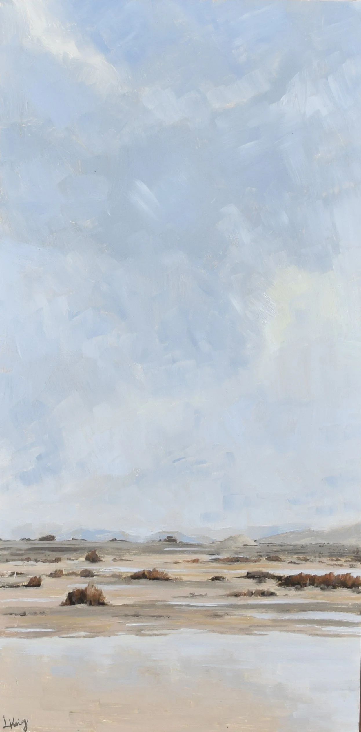 "April Flood, Nahal Paran", 2023. Oil on gesso panel. 30x60 cm. SOLD.