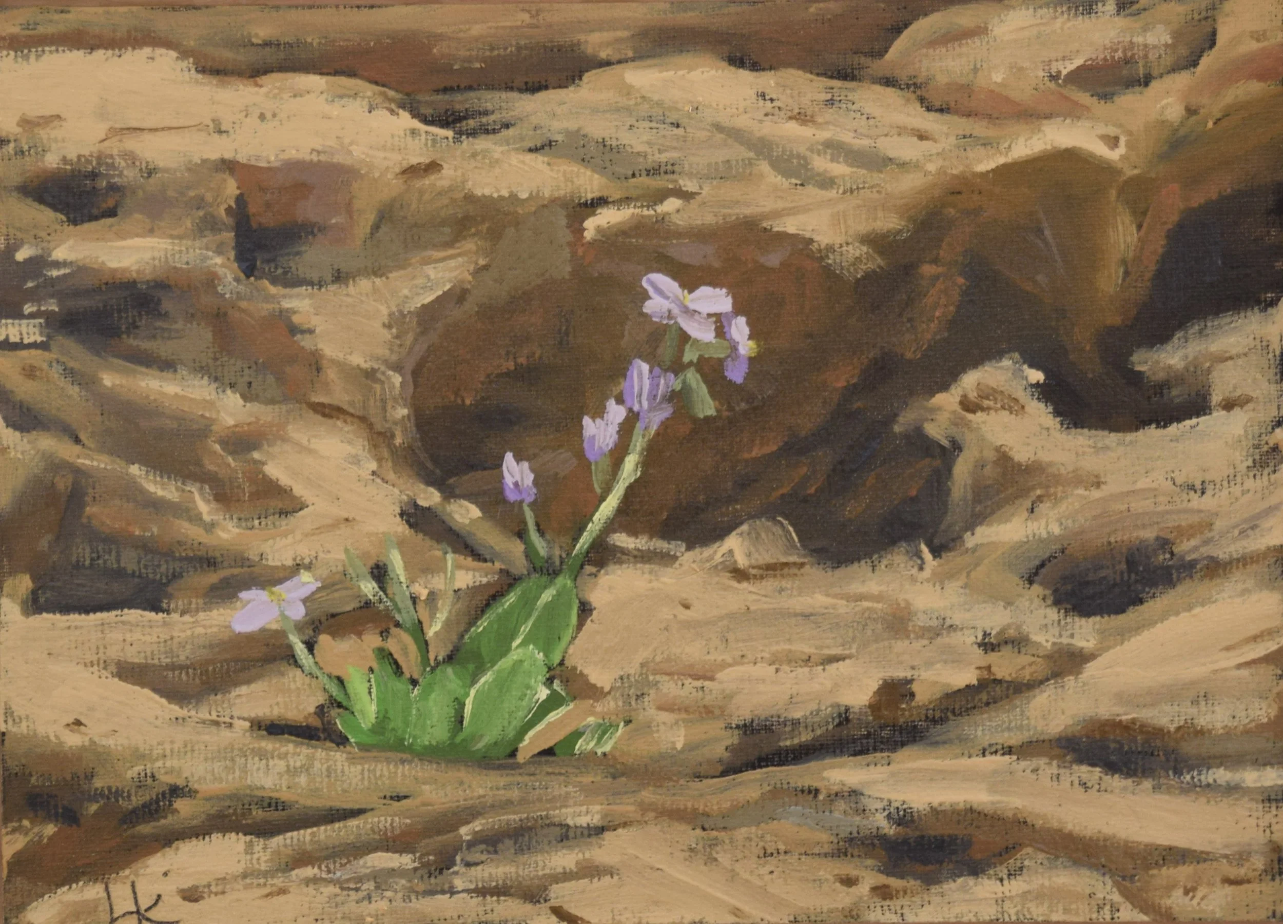 "The survivor. Nahal Gov study i," 2023. Oil on canvas panel, 13x18 cm. SOLD.