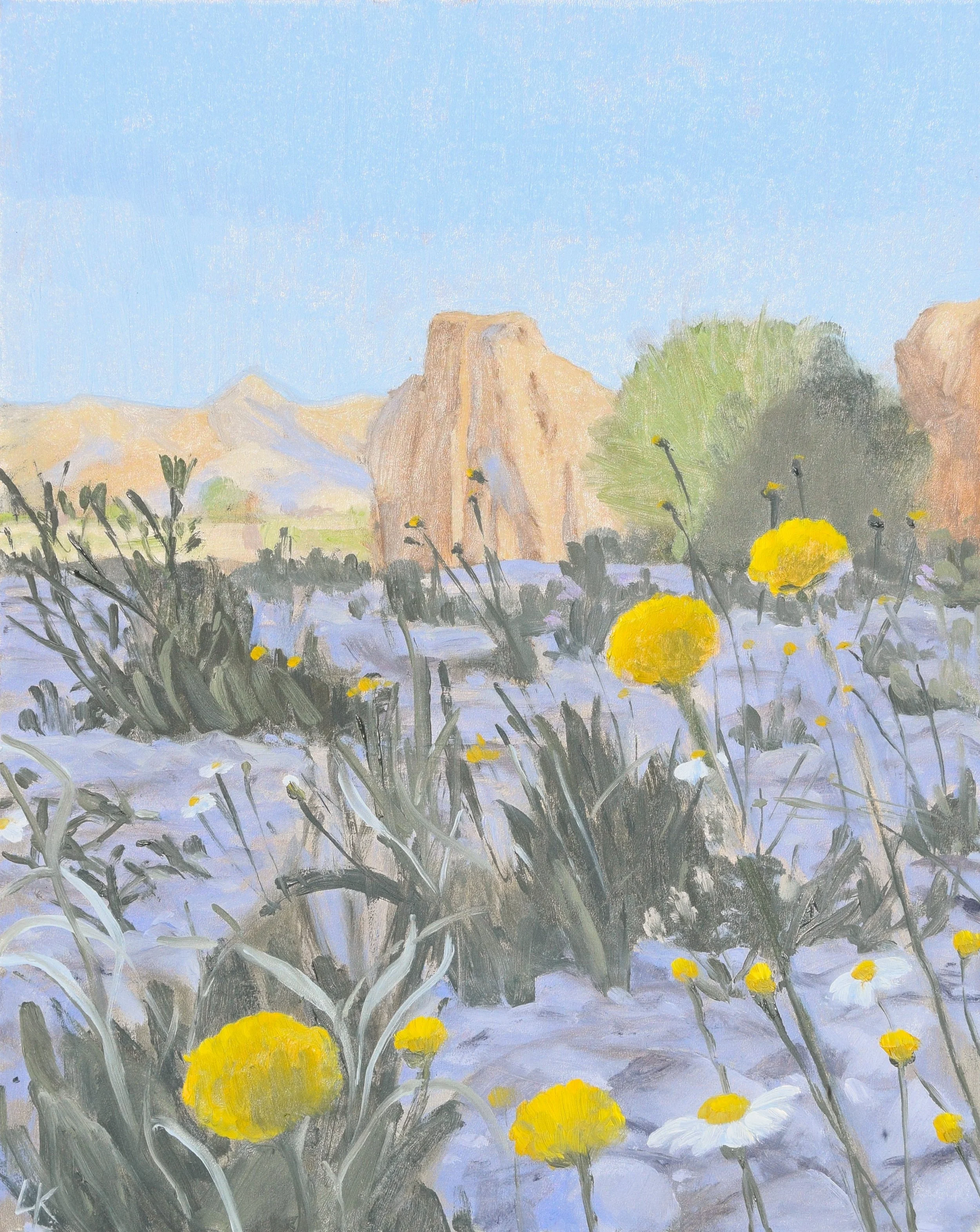 Yellow Aharonsonia Flowers with Rocks. 24x30 cm, oil on gesso panel. 2026.