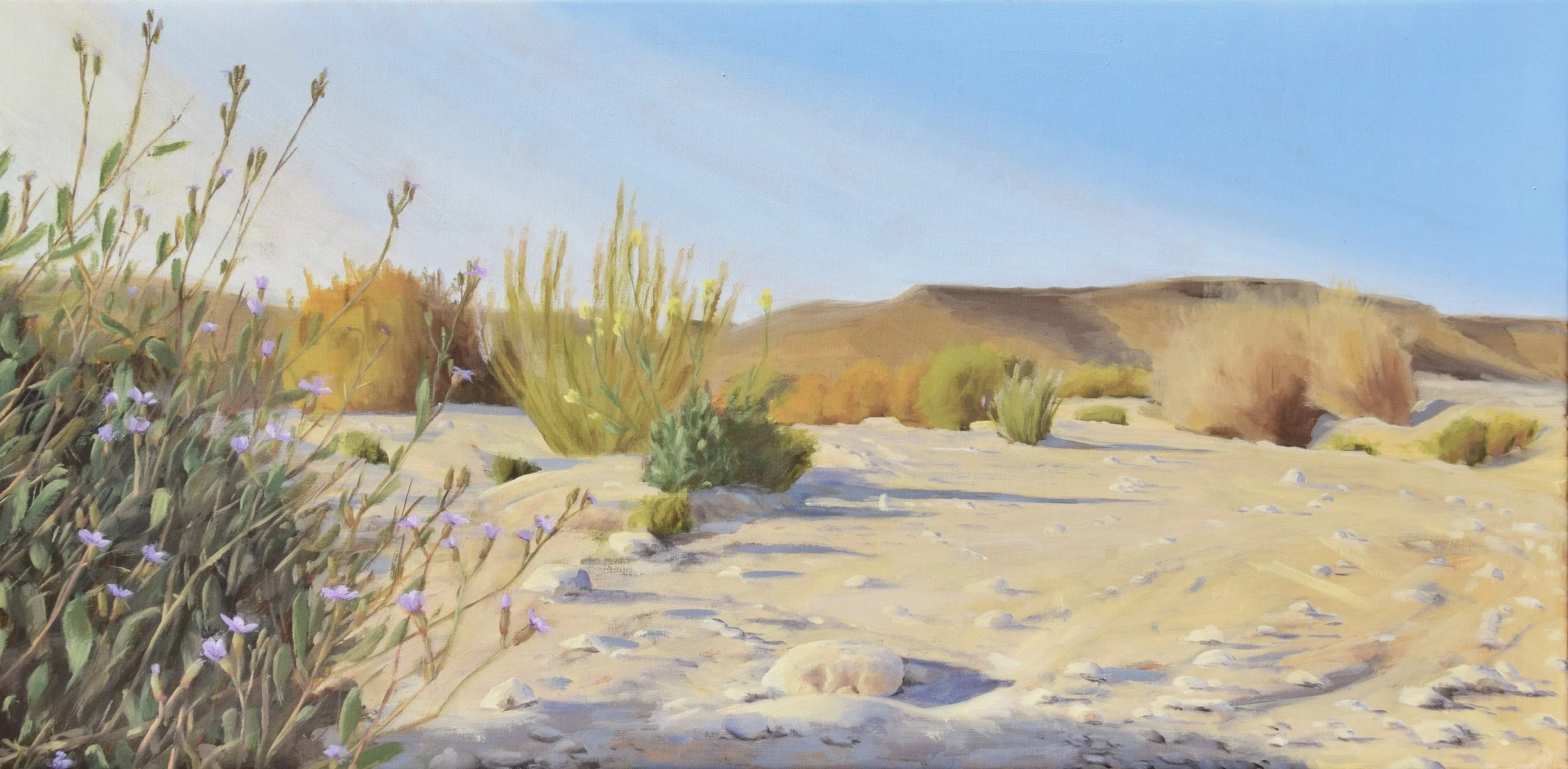 Winter in the Wadi with Flowers ii, 2024. 30x60 cm, oil on linen. SOLD