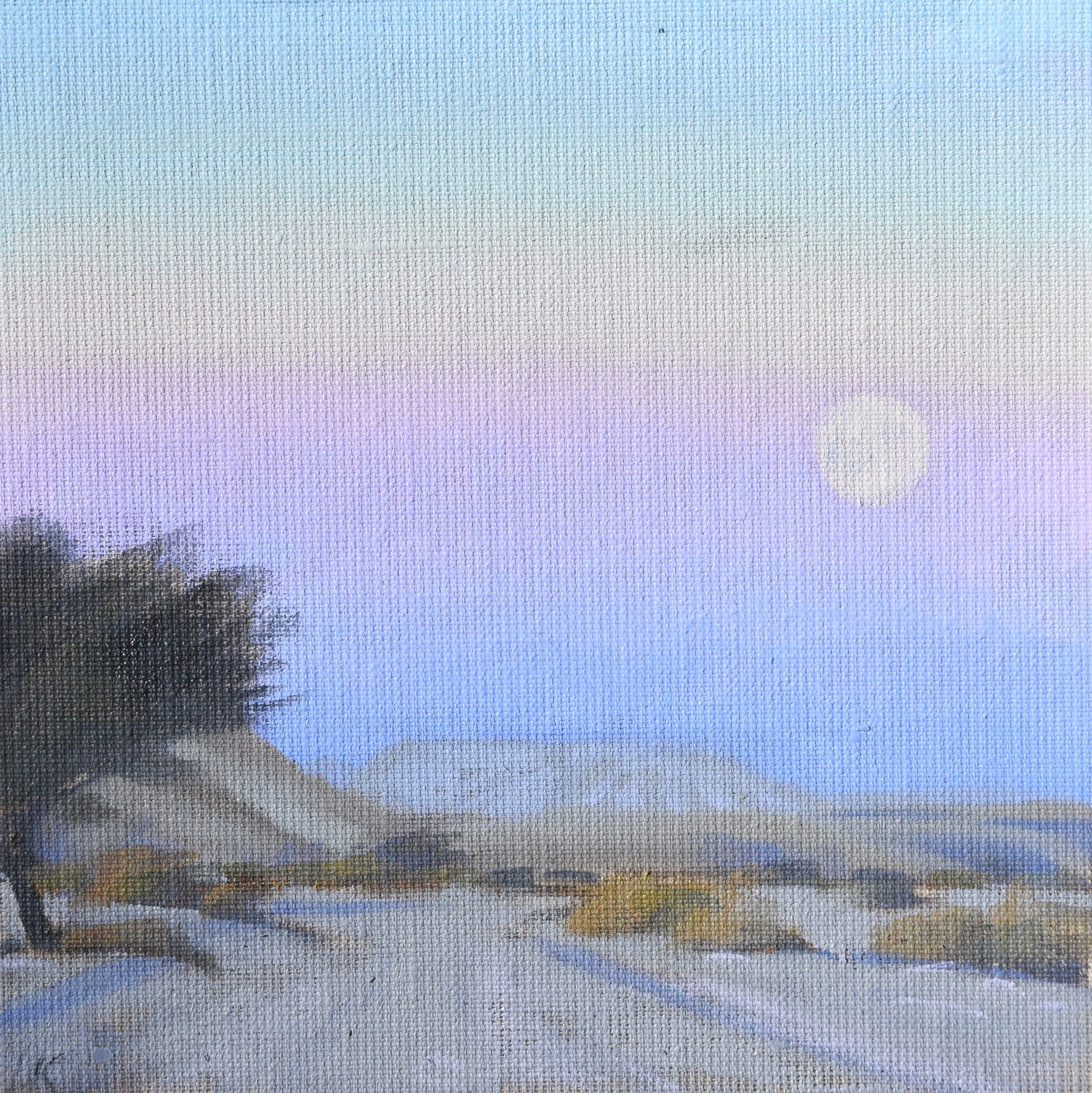 Moonlight in the Wadi. 20x20 cm, oil on panel. 2026.