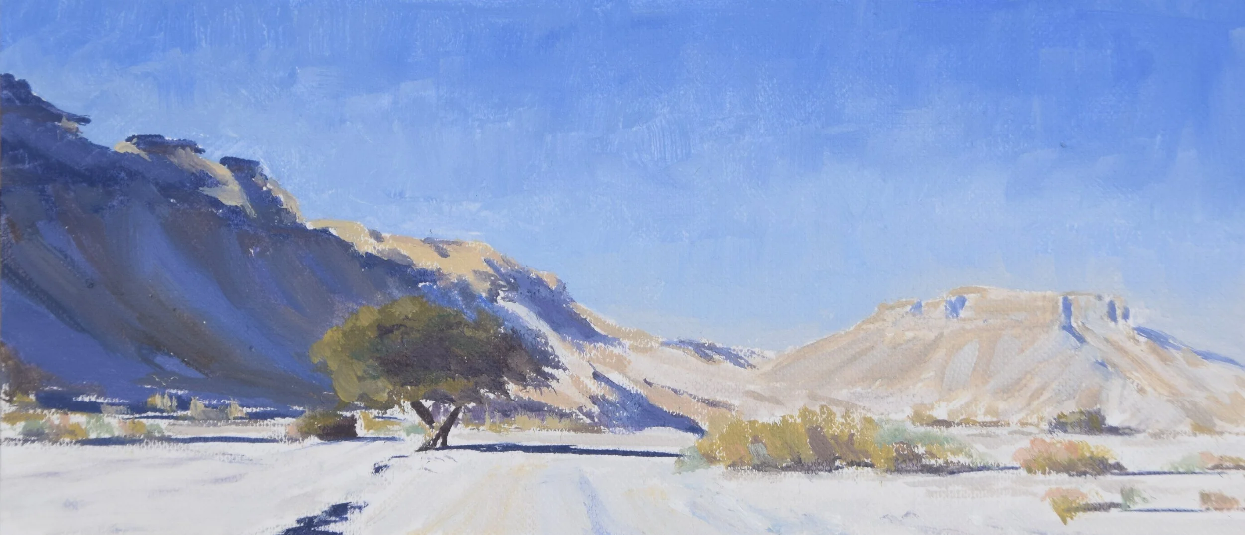 "Acacia winter sun study", 2022. 9x20 cm, oil on canvas paper. SOLD