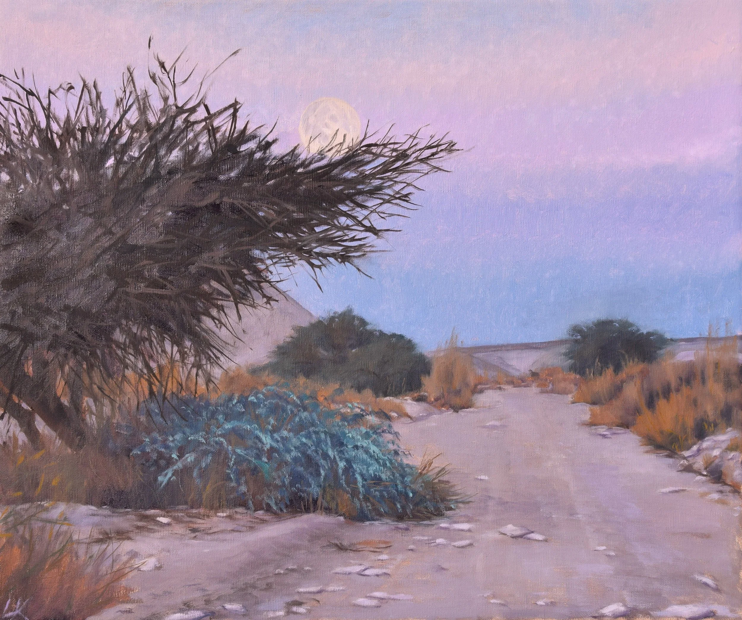 Acacia and caper with moon, 2025. 50x60 cm, oil on canvas.