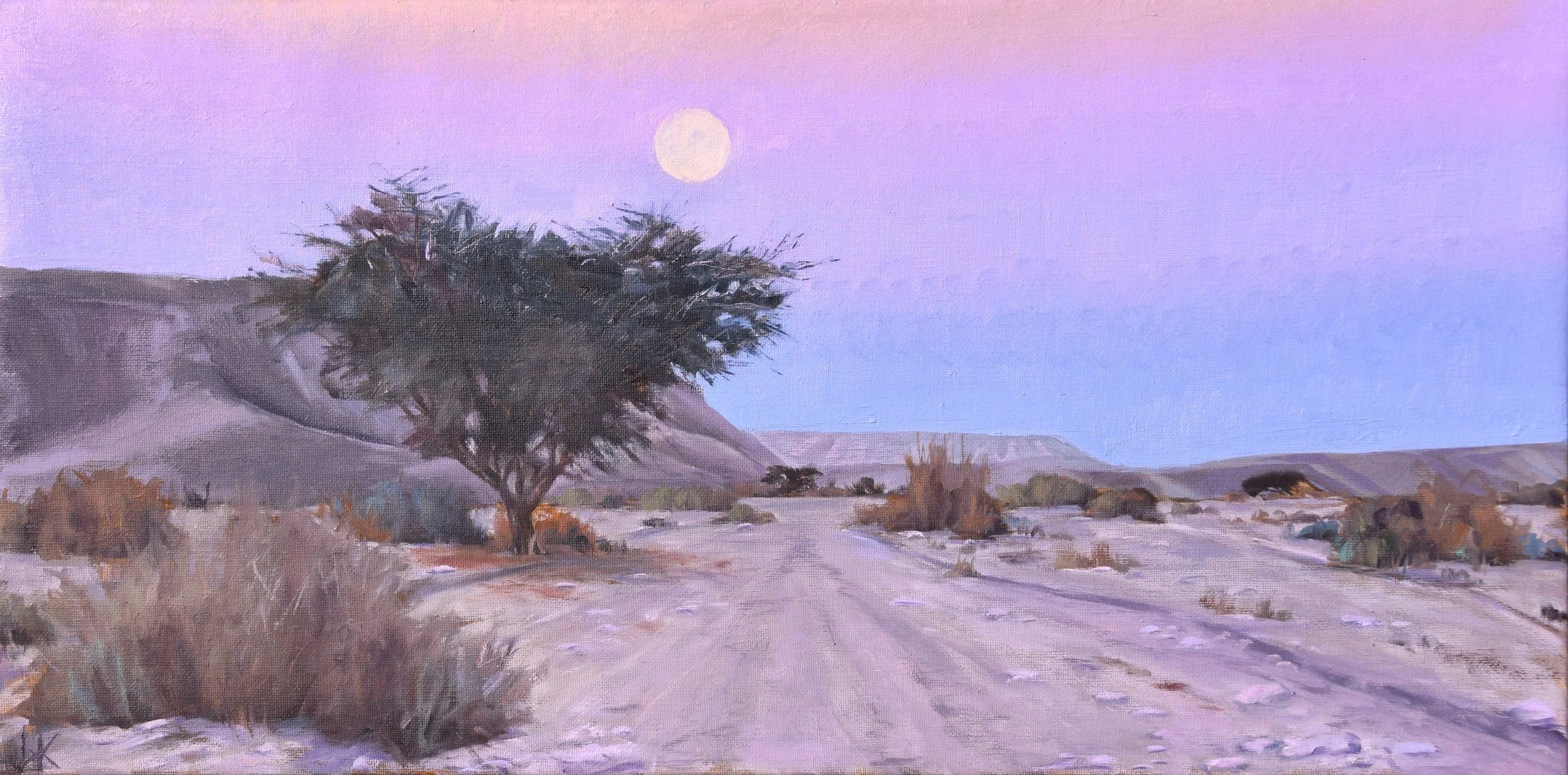 Acacia and path in pink moonlight, 2025. 30x60 cm, oil on canvas. SOLD