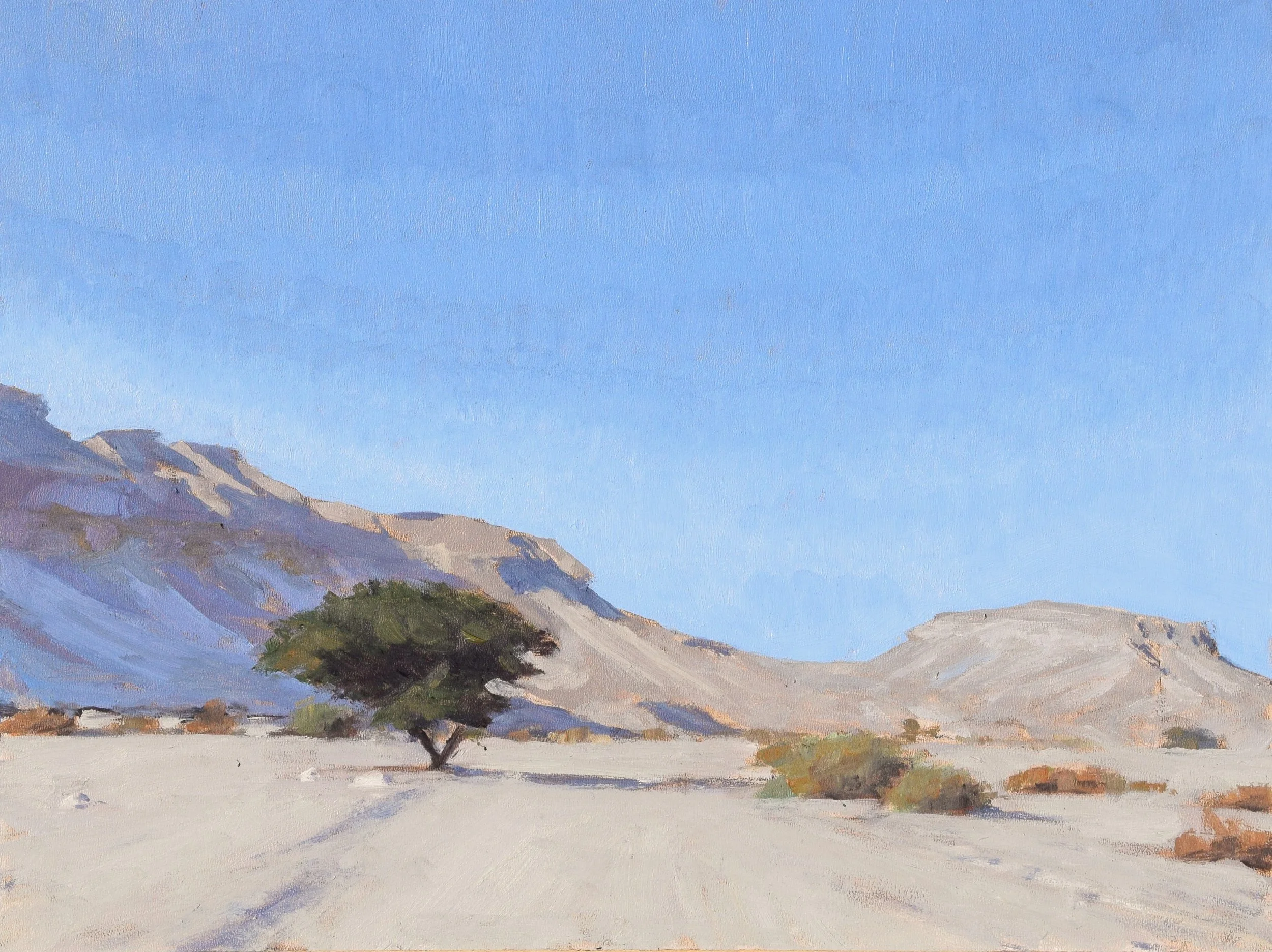 Acacia tree with winter sun, study ii. 2025. 18x24 cm, oil on gesso panel. SOLD