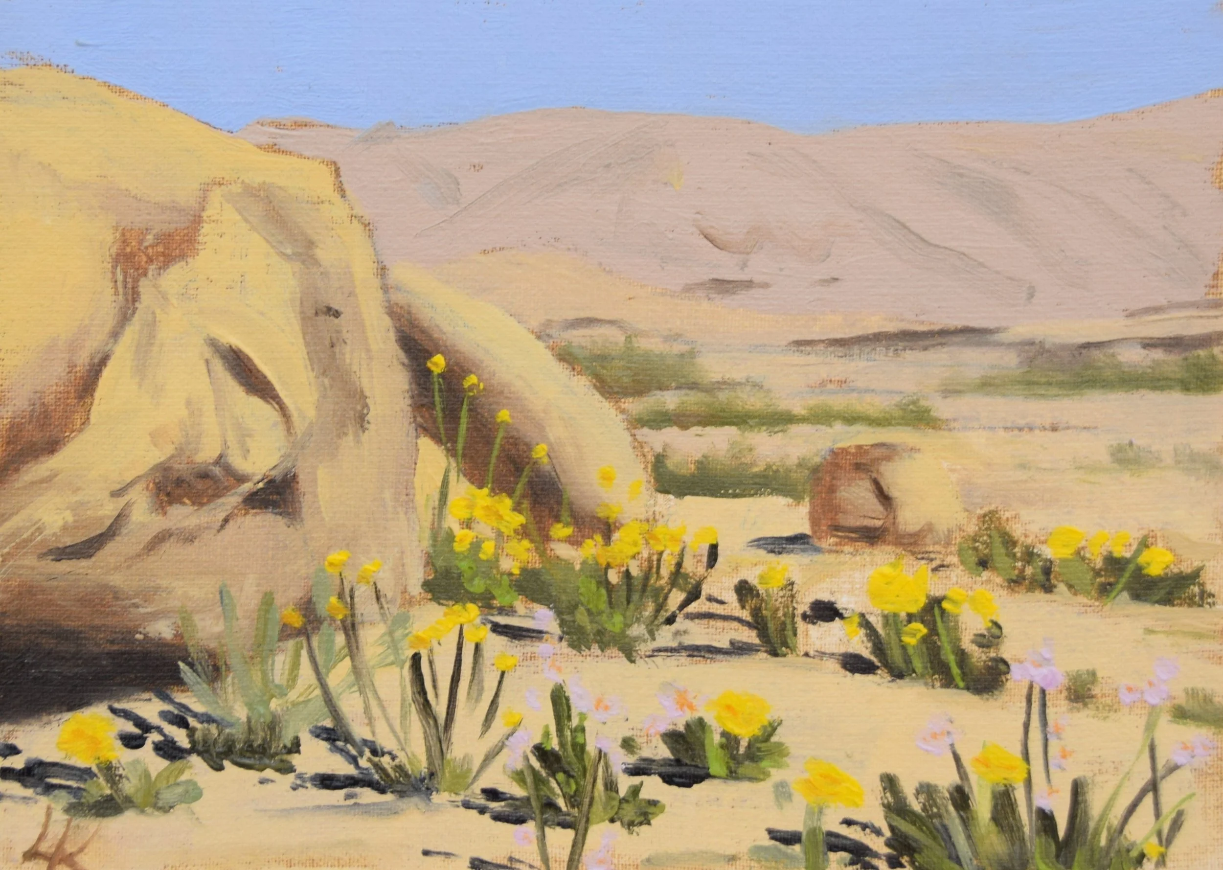 "Yellow flowers at Ein Tsin II", 2023. 13x18 cm. SOLD