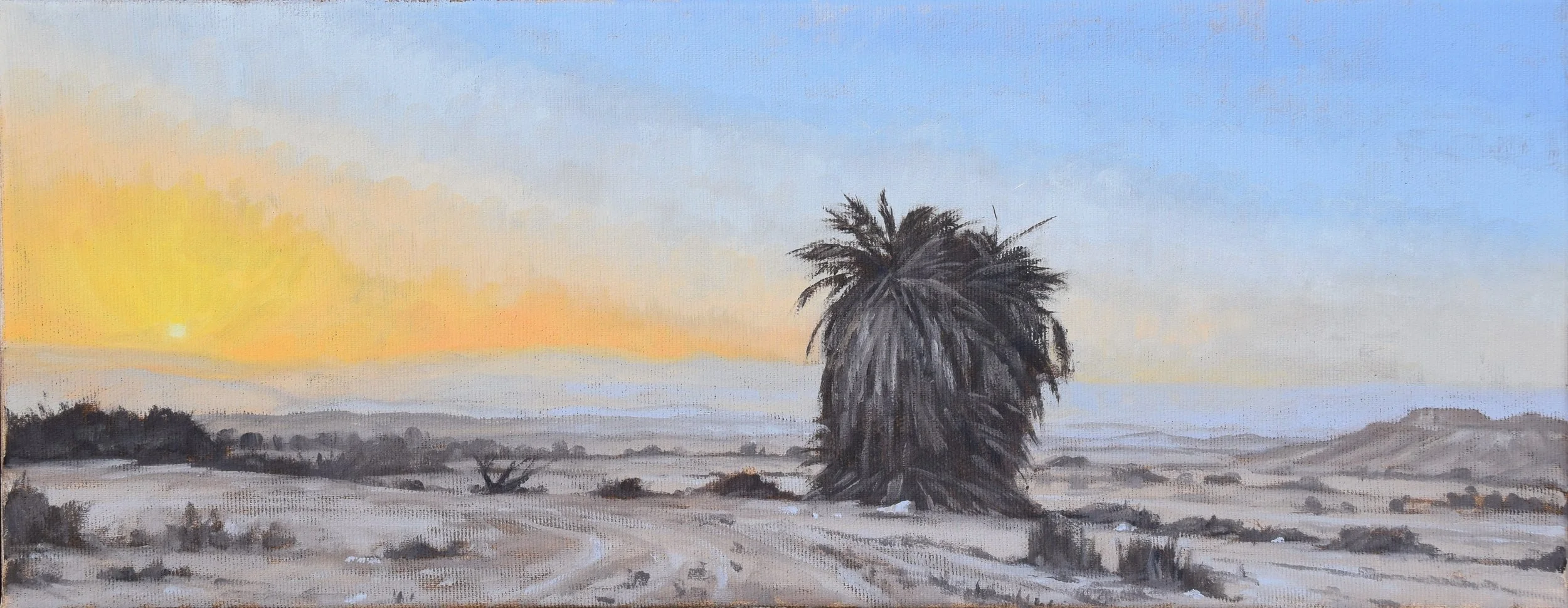 Sunrise and the Queen of Palms. 2024. 20x50 cm, oil on stretched canvas. SOLD.