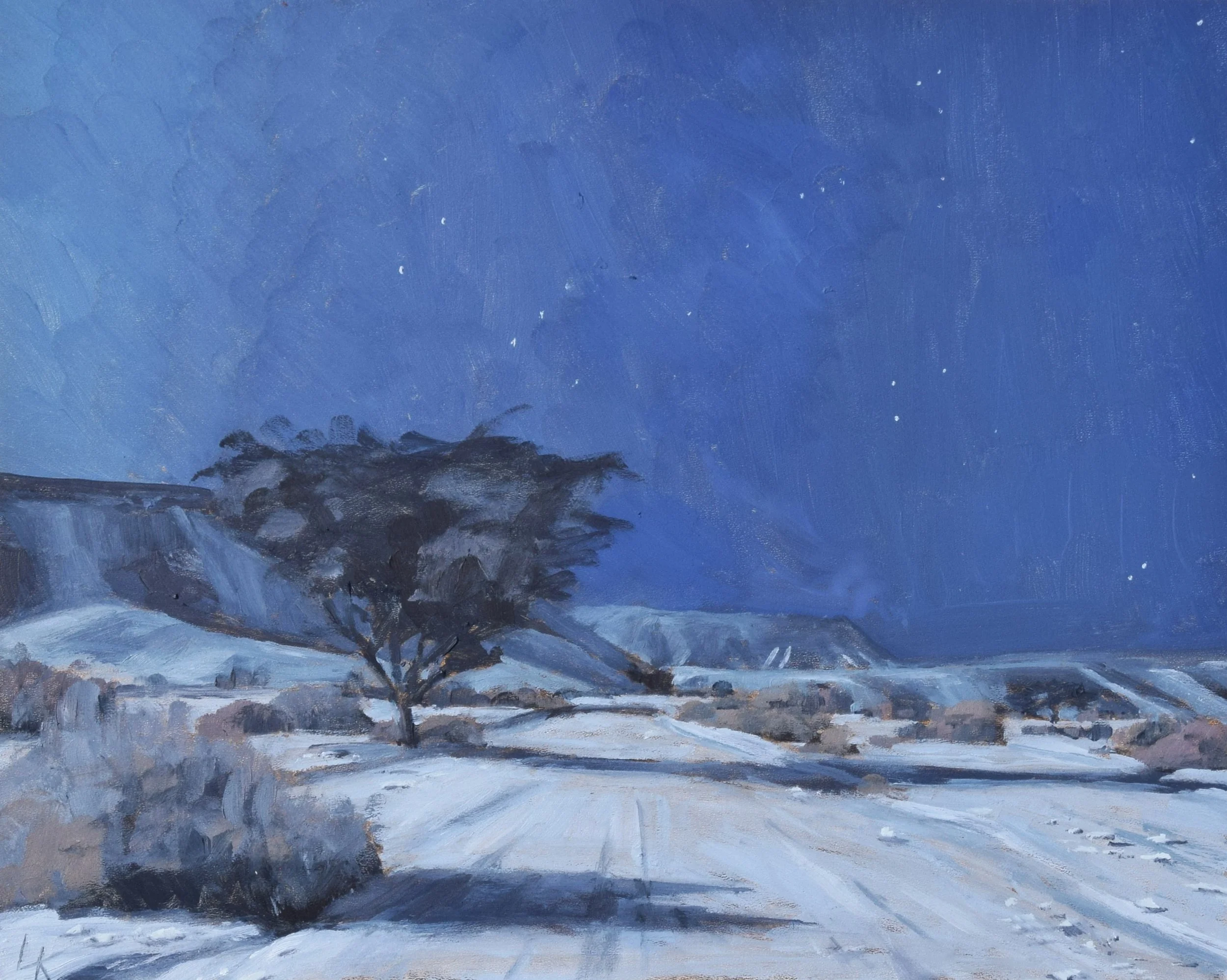 Acacia tree in moonlight. 2025. 24x30 cm, oil on gesso panel. SOLD