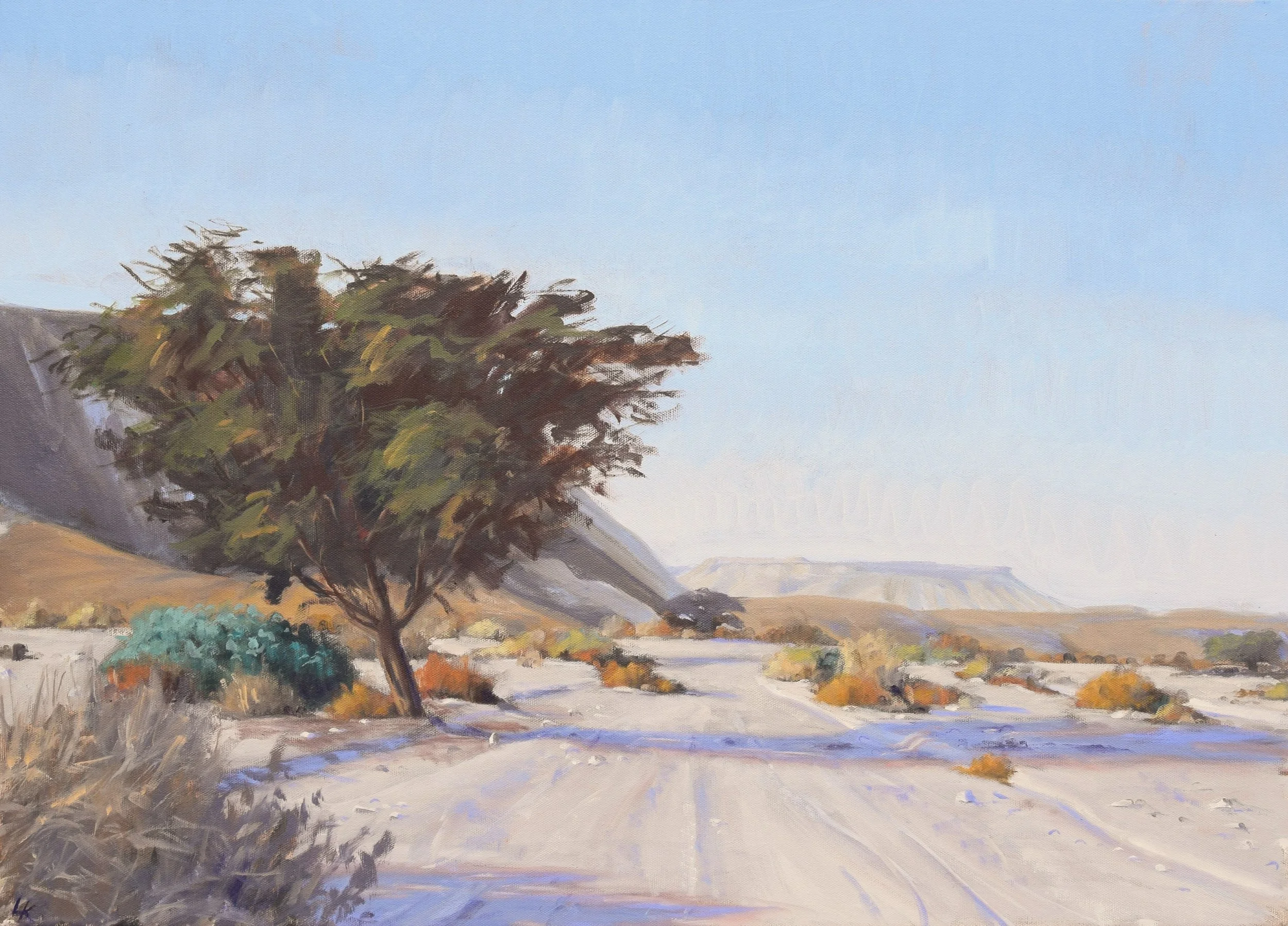 Acacia Tree and Table Mountain, 50x70 cm. Oil on canvas. 2026.