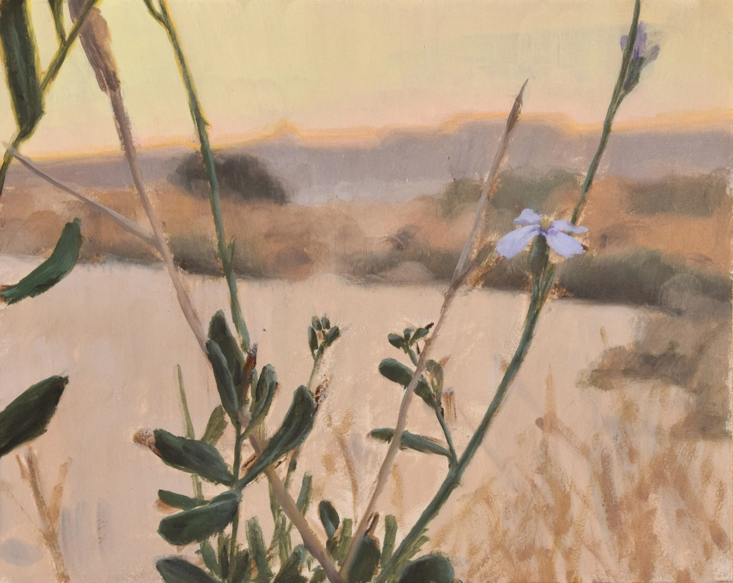 Morika mavrika at sunset. 2024. 24x30 cm, oil on gesso panel. SOLD