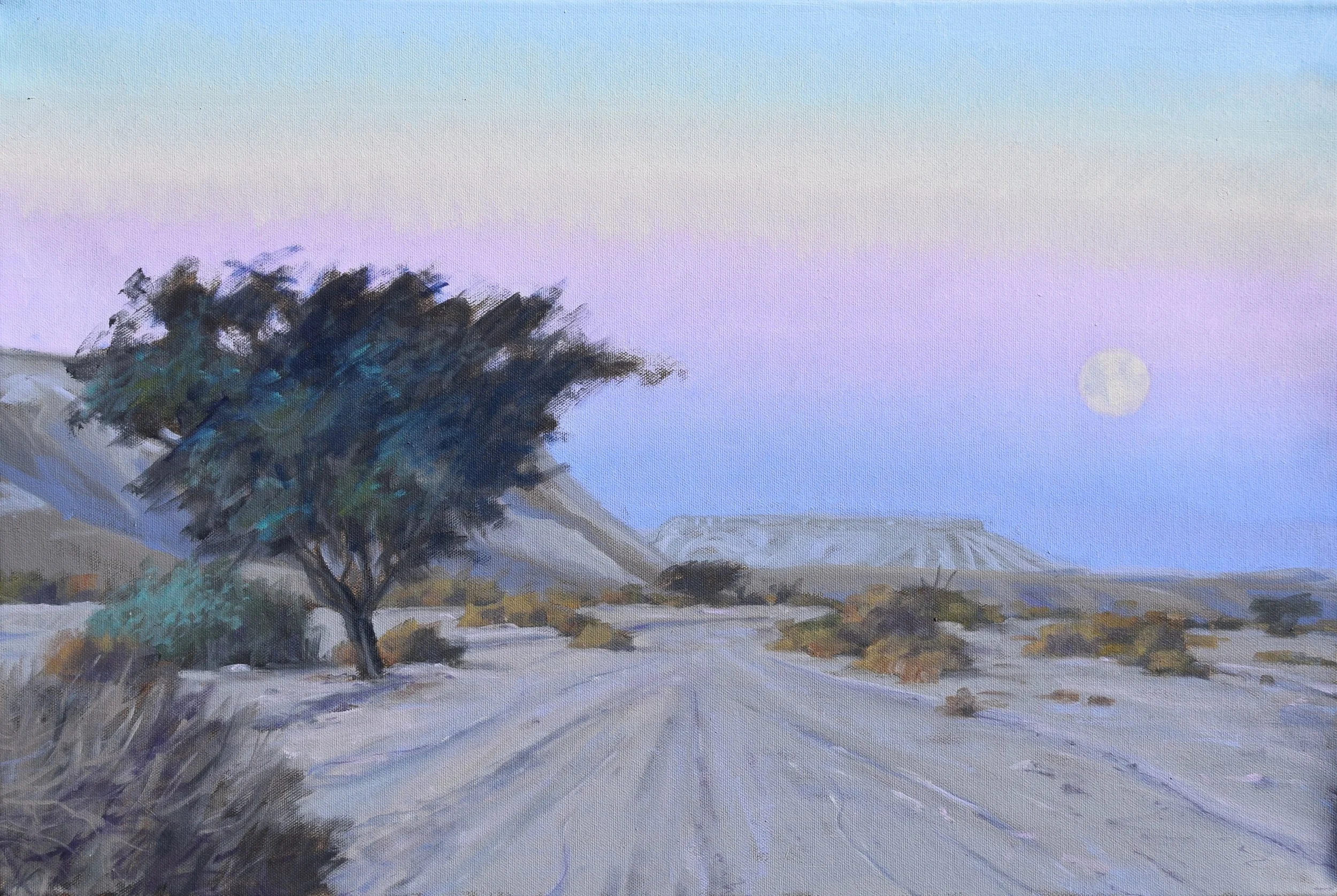 Acacia tree and path at dawn. 40x60 cm, oil on canvas. 2026.