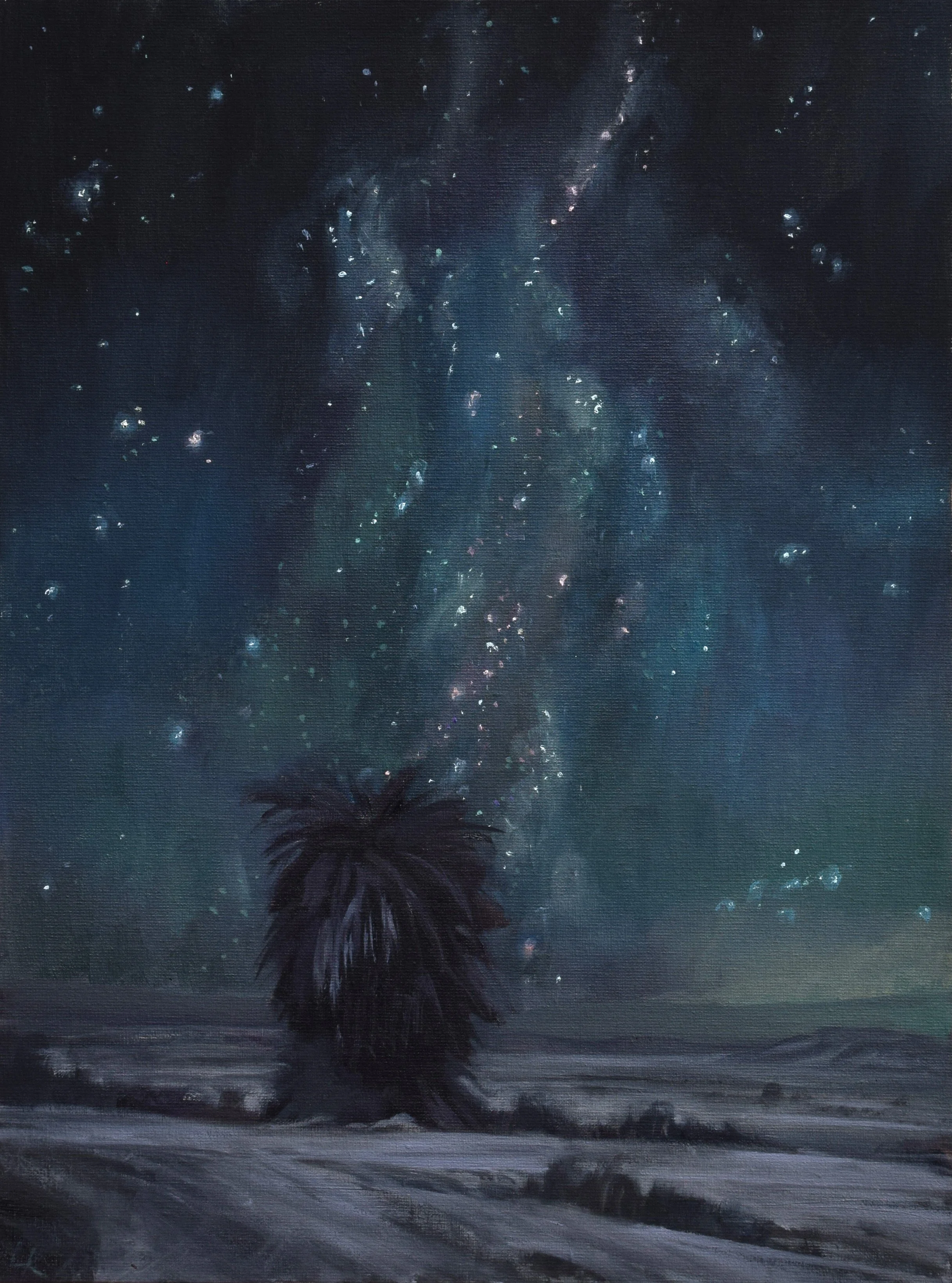 The Queen of Palms with the Milky Way, 2025. 30x40 cm, oil on canvas panel.