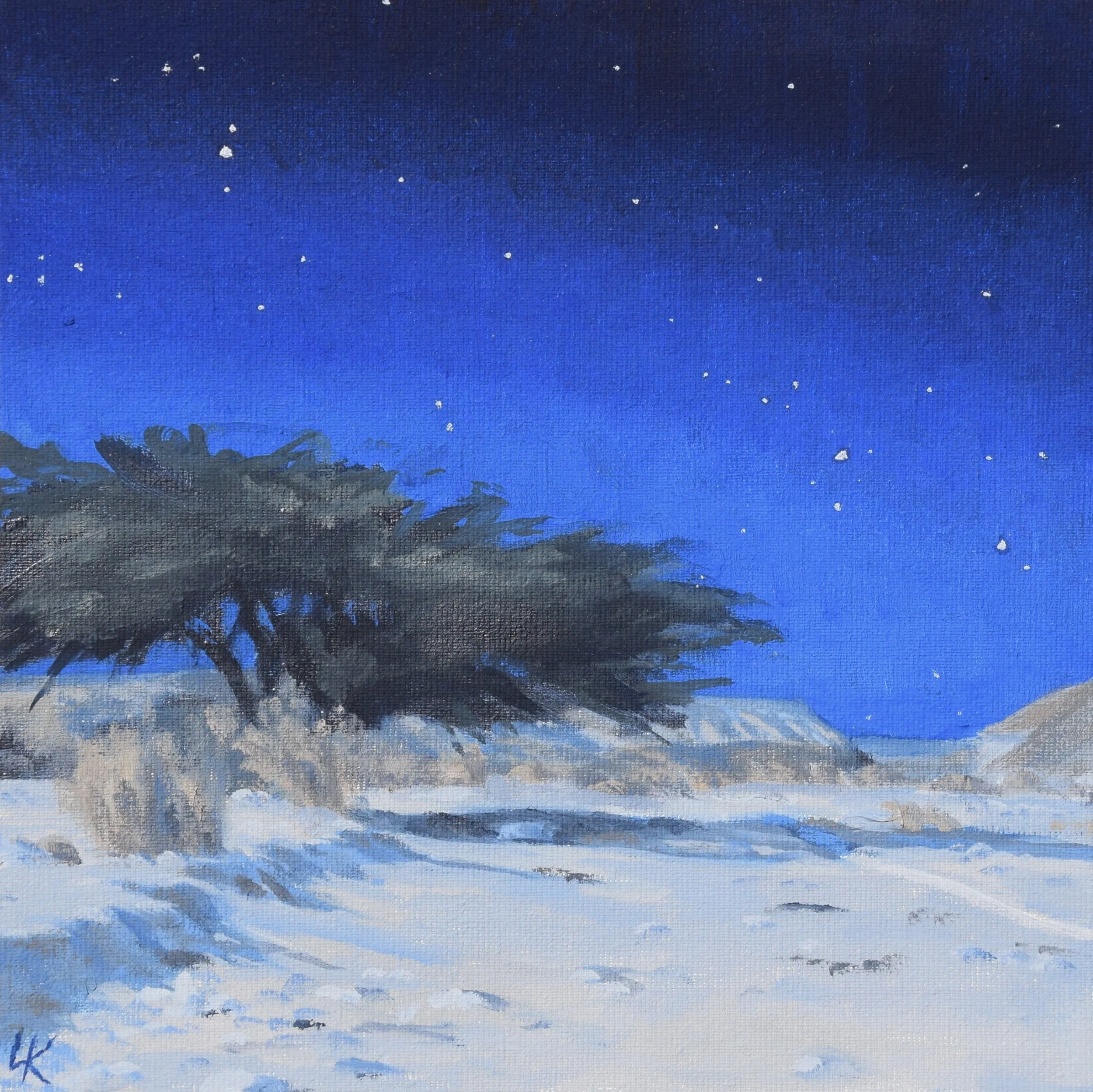 "Starry summer night in the Wadi. Study I". 20x20 cm, oil on canvas panel. 2026.