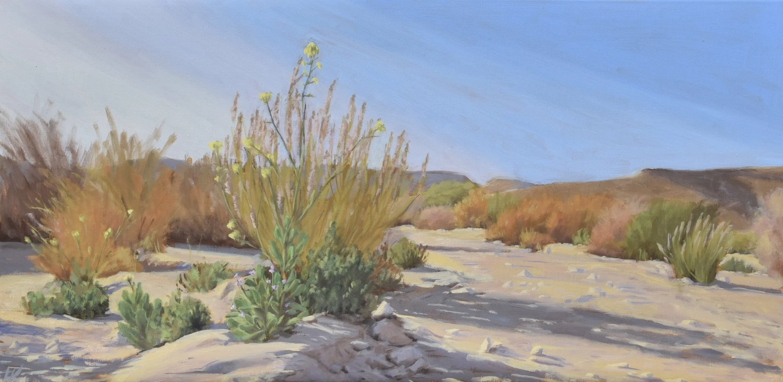 Winter in the Wadi with Flowers, 2024. 30x60 cm, oil on linen. SOLD