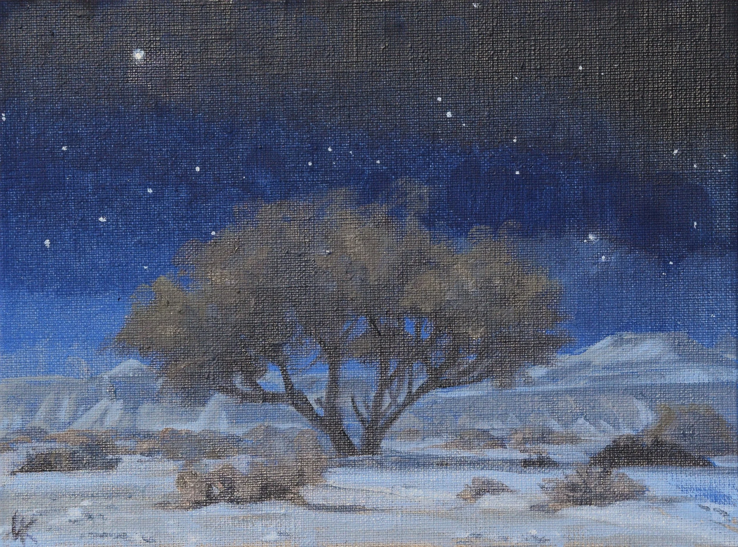 "Queen of the Night. Study." 18x24 cm, oil on linnen panel. 2026