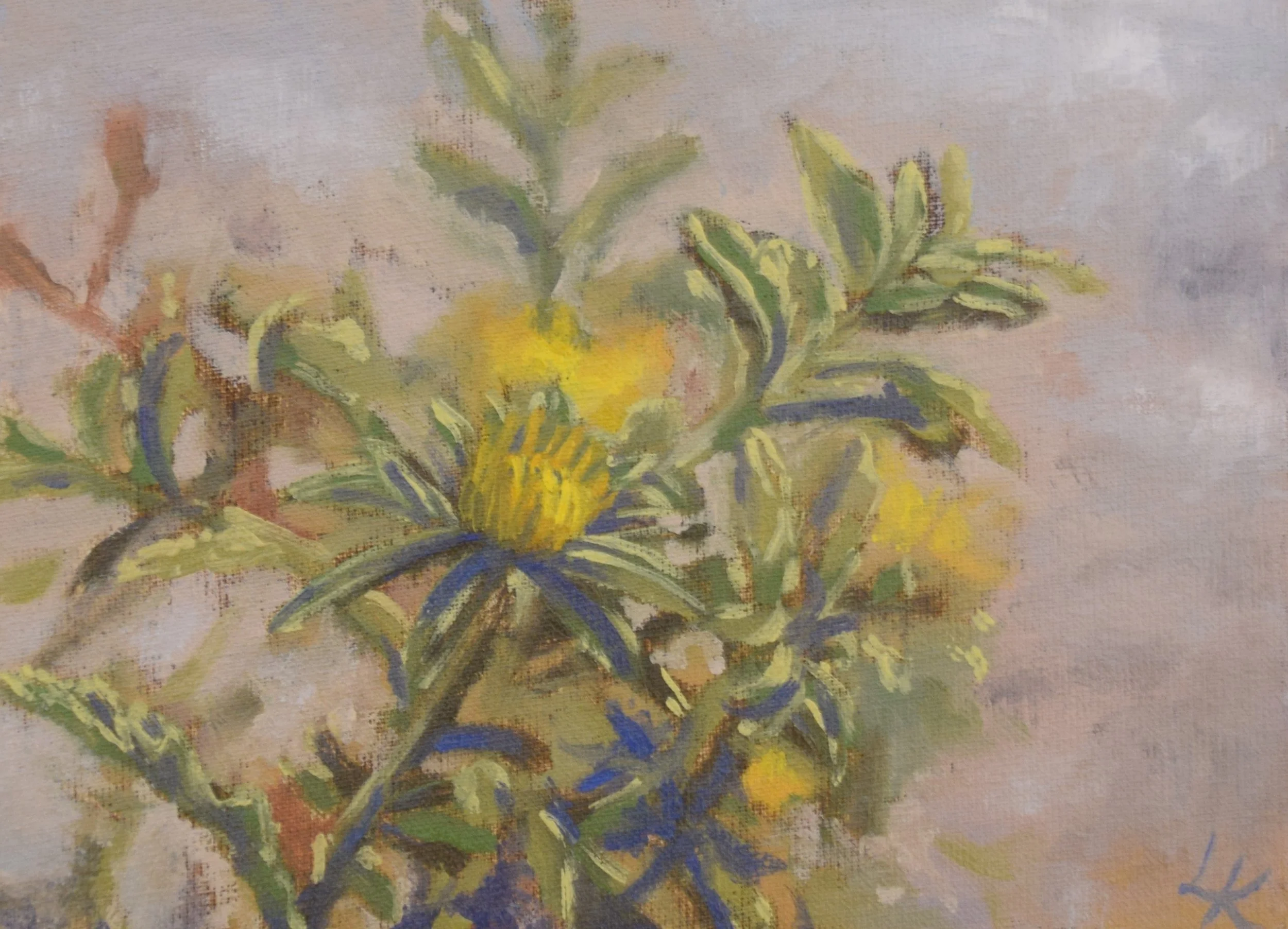 ""Asteriscus graveolens II", 2023. 13x18 cm. SOLD.