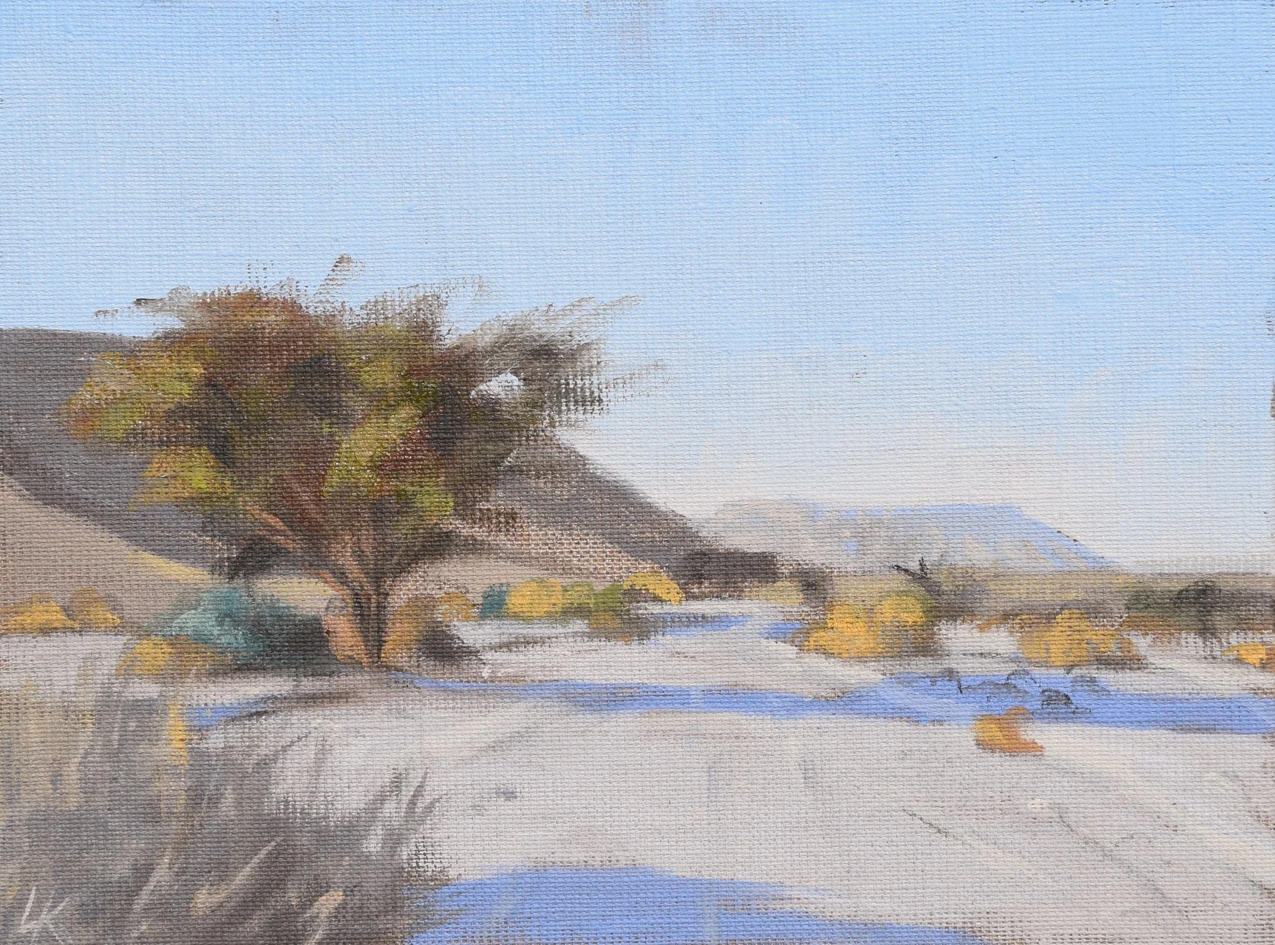 Acacia tree in the morning. 18x24 cm, oil on linen. 2026.