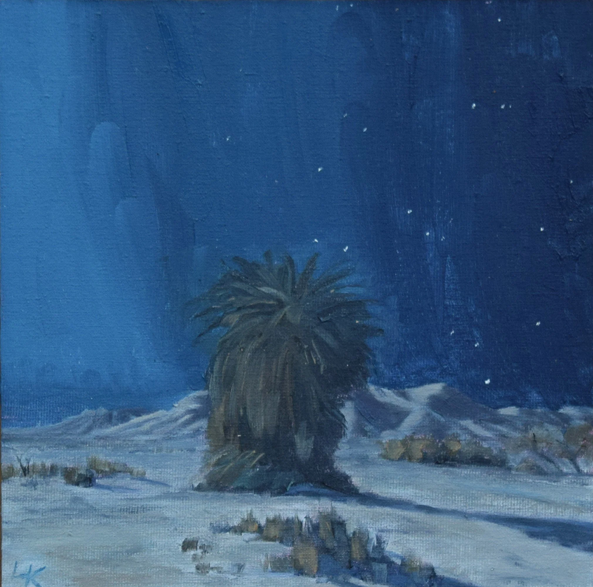 Palm tree at night study i. 2025. 20x20 cm, oil on panel.