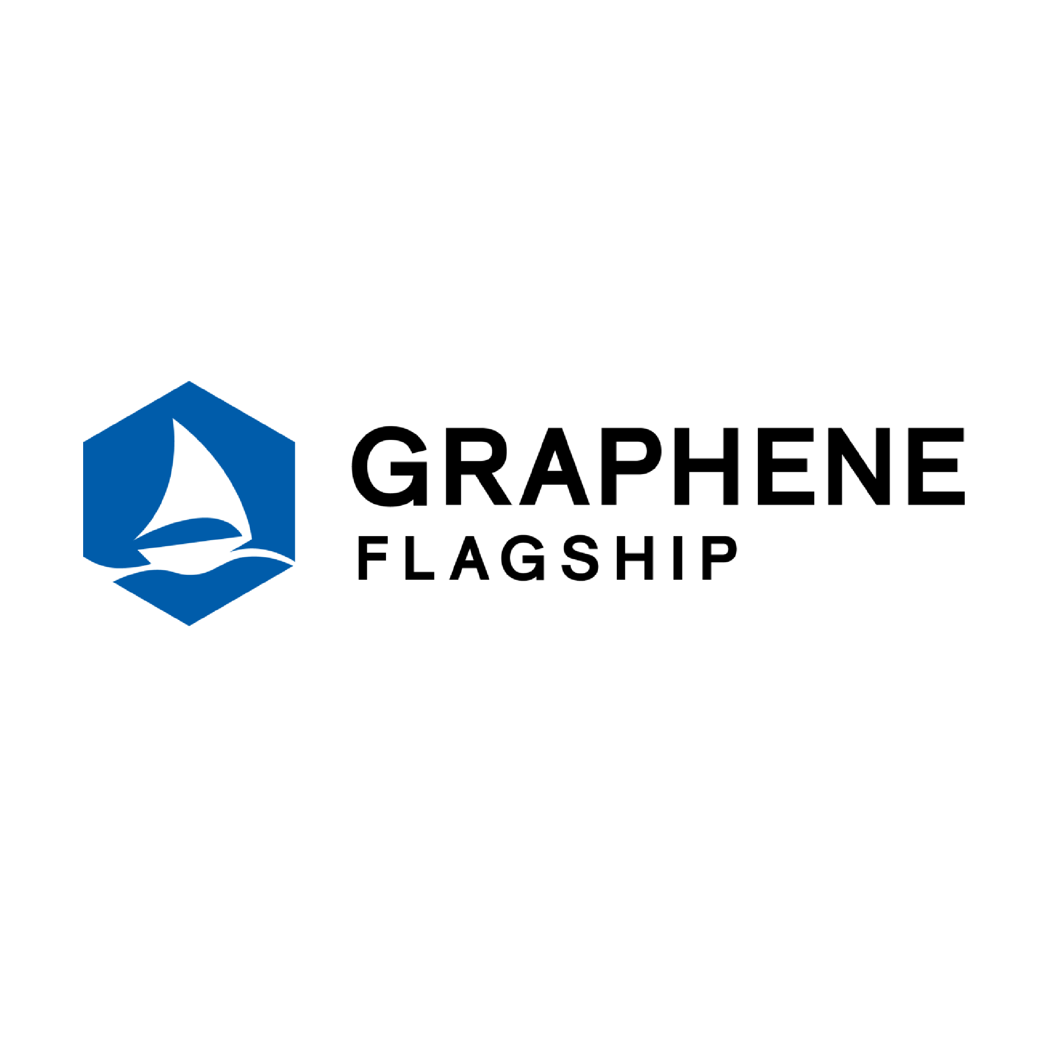 The graphene flagship logo in square-01-01.png